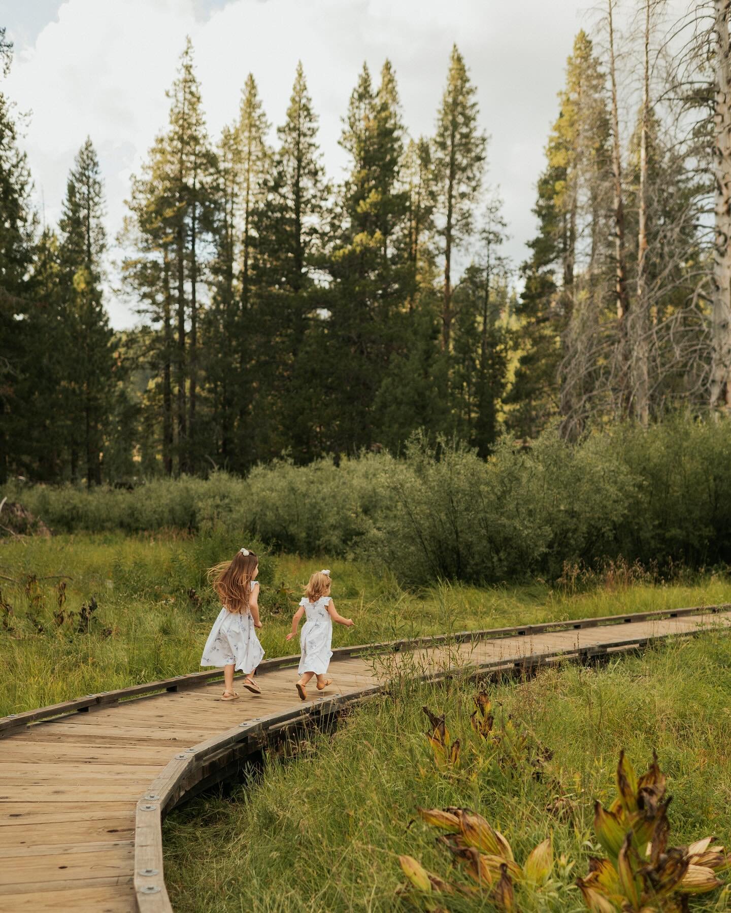 It&rsquo;s family photo season 🫶🌲I love finding locations for family&rsquo;s where kids can just run around and be kids, in a safe, open environment! When choosing a location for family sessions, I always take into account the space we will be shoo