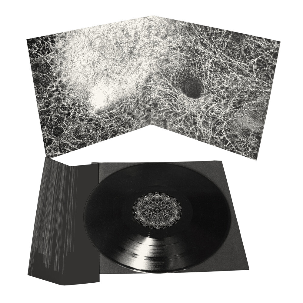 DMP0094ChaosEchoes-ToneOfThingsToCome-LP_InnerPreview.jpg