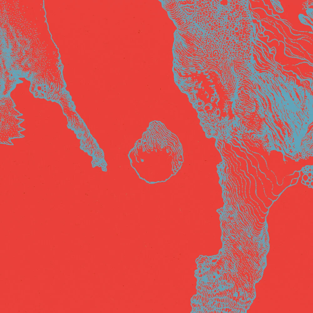 • Gatefold Replica CD / Inner Sleeve