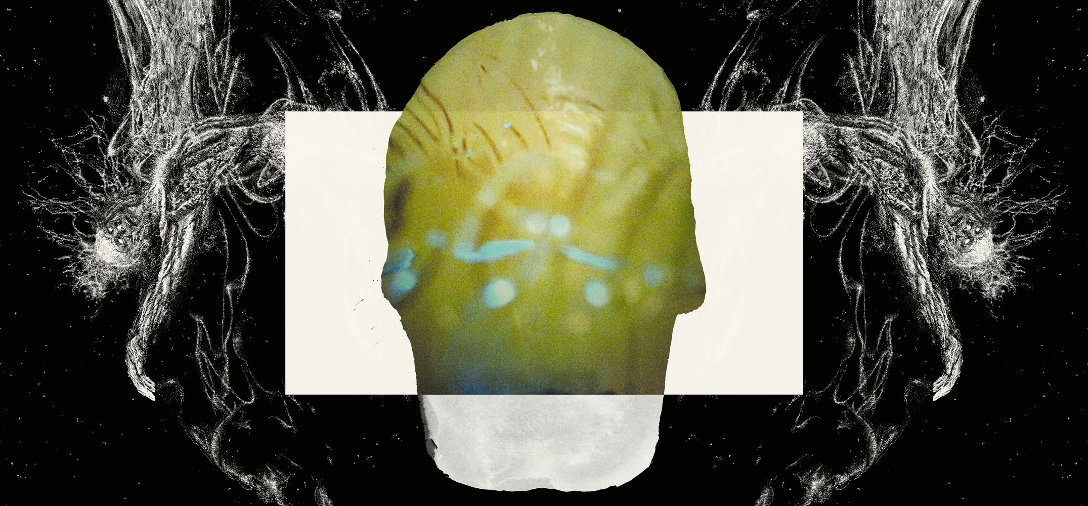  CHAOS ECHŒS Transient  Limited Edition Nuclear War Now Productions 2015  Album Gatefold Sleeve Inside Spread  