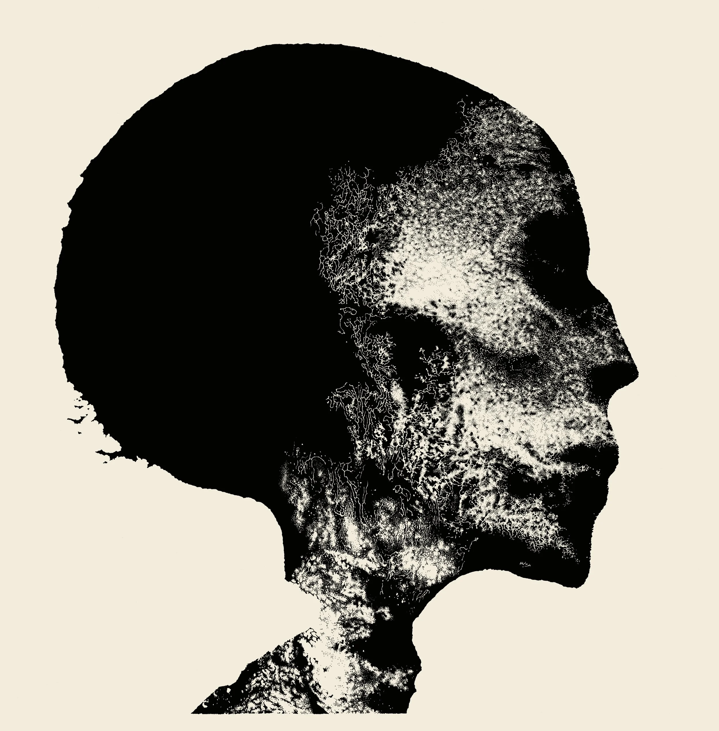  CHAOS ECHŒS Transient  Regular Edition Nuclear War Now Productions 2015  Album Cover  