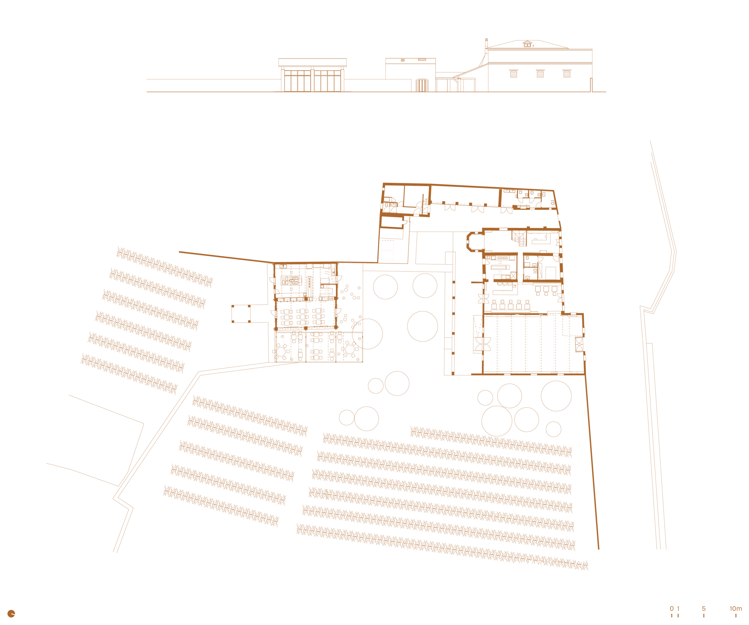 venissa-disegni-01.png