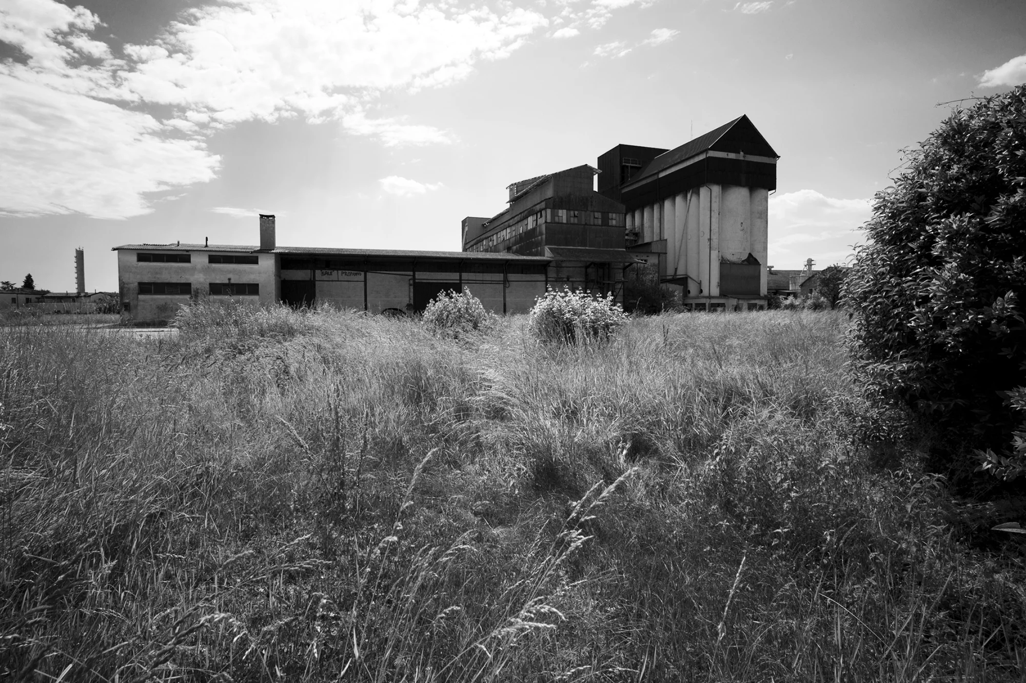 casale-complex-03.jpg
