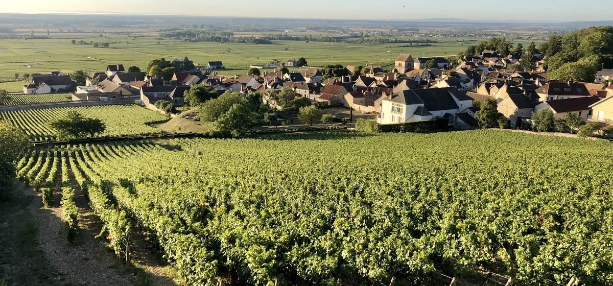 band_clos_des_ducs.jpg