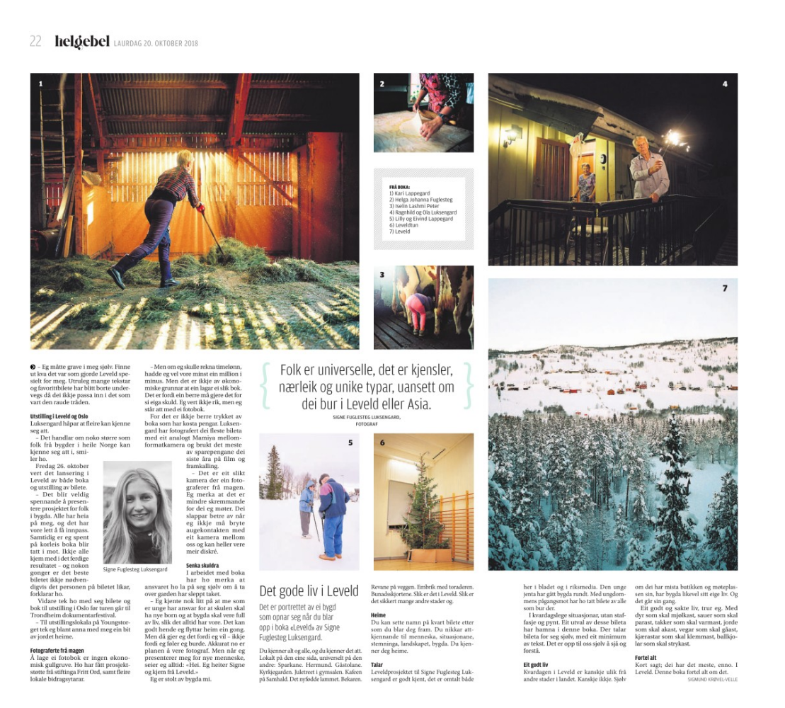 Screen Shot 2019-02-13 at 12.56.55.png