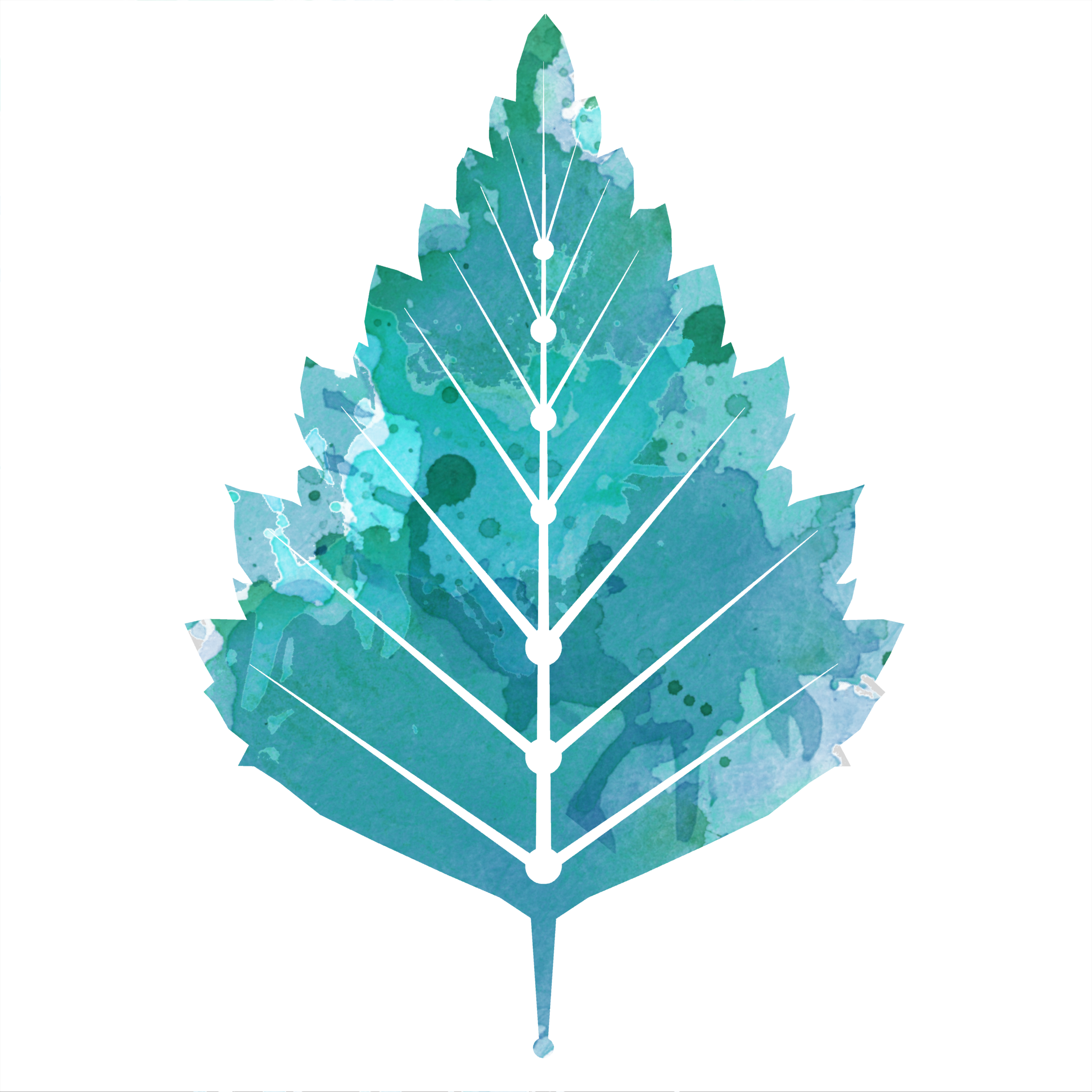 Birch v2.png