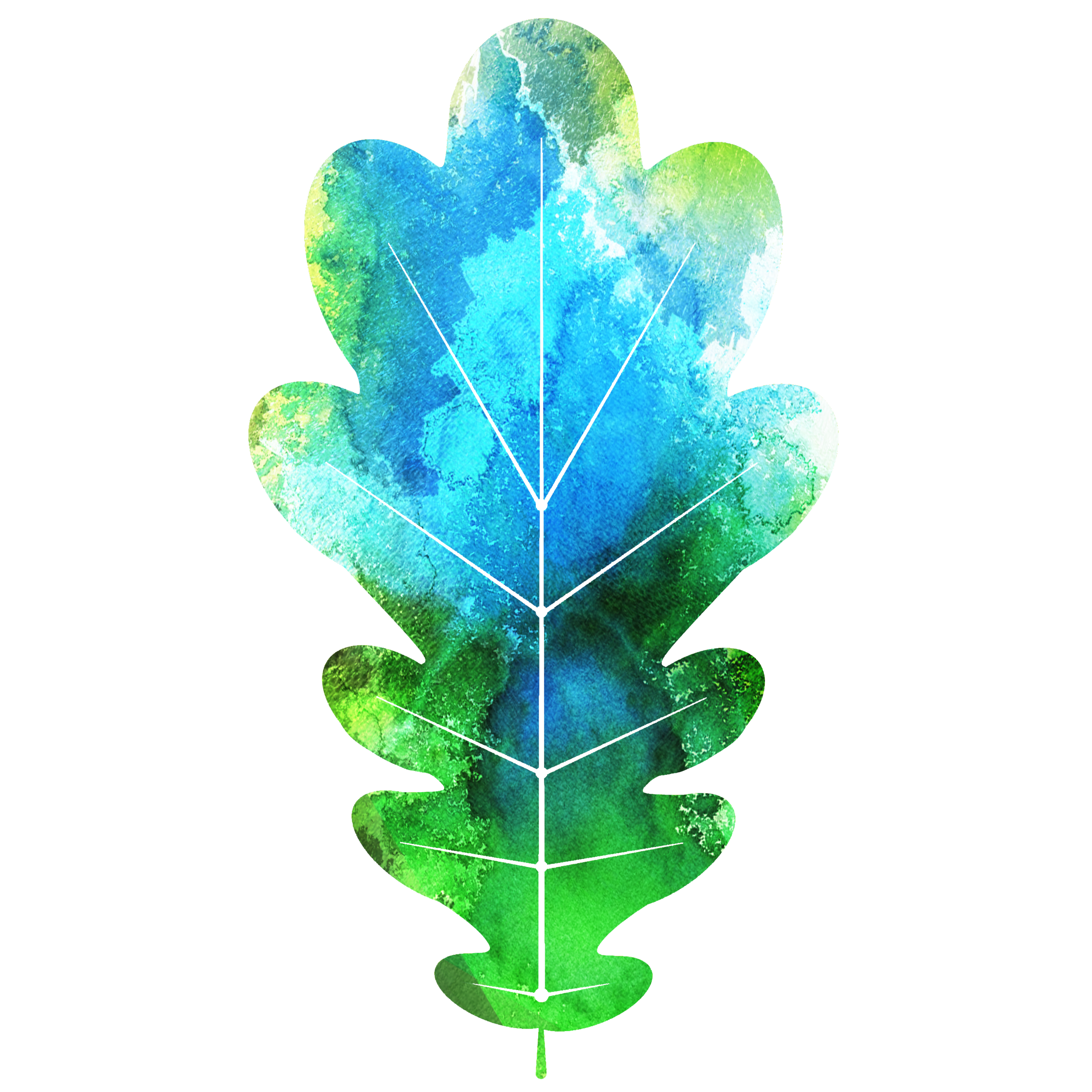 Acorn Leaf v3.png