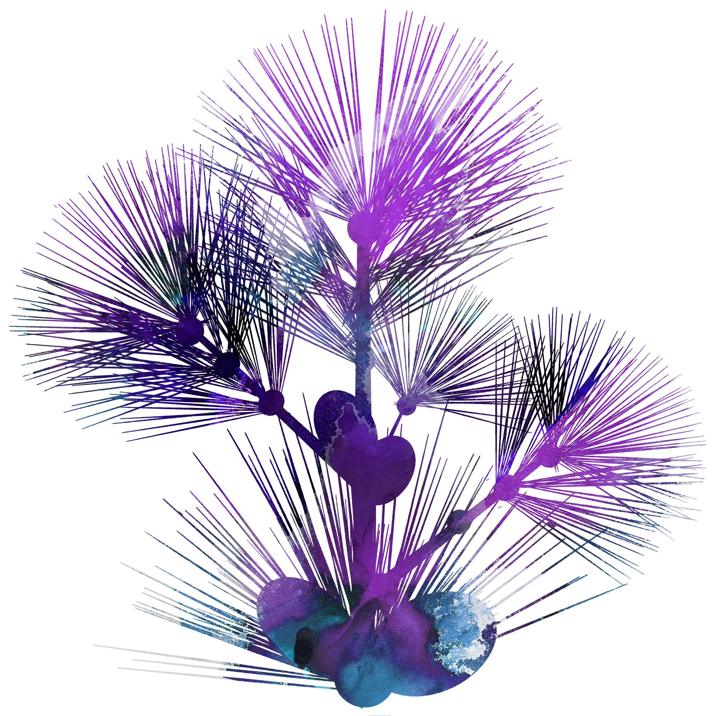 Pine v3.1.png