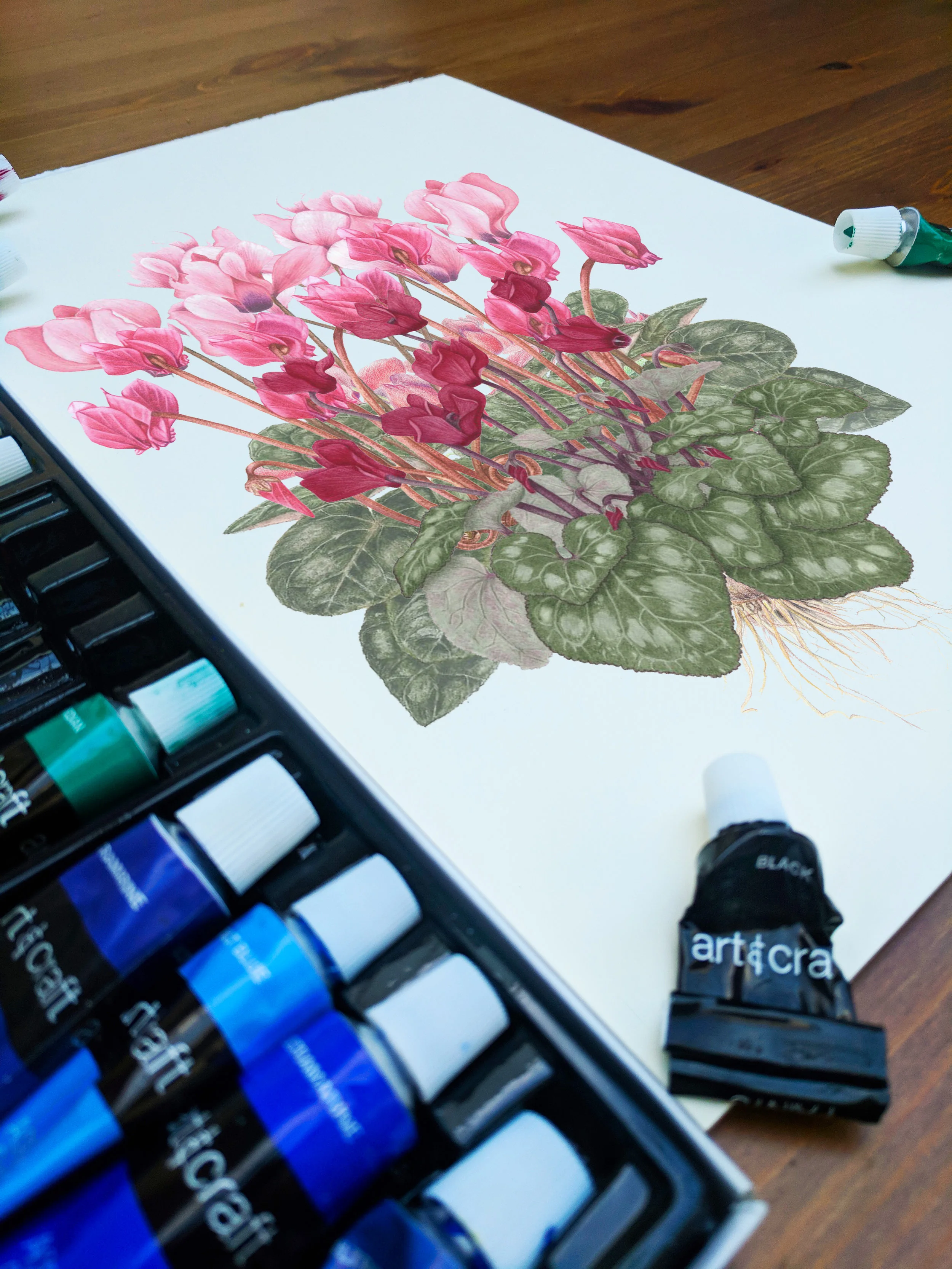 Cyclamen Painting.jpg