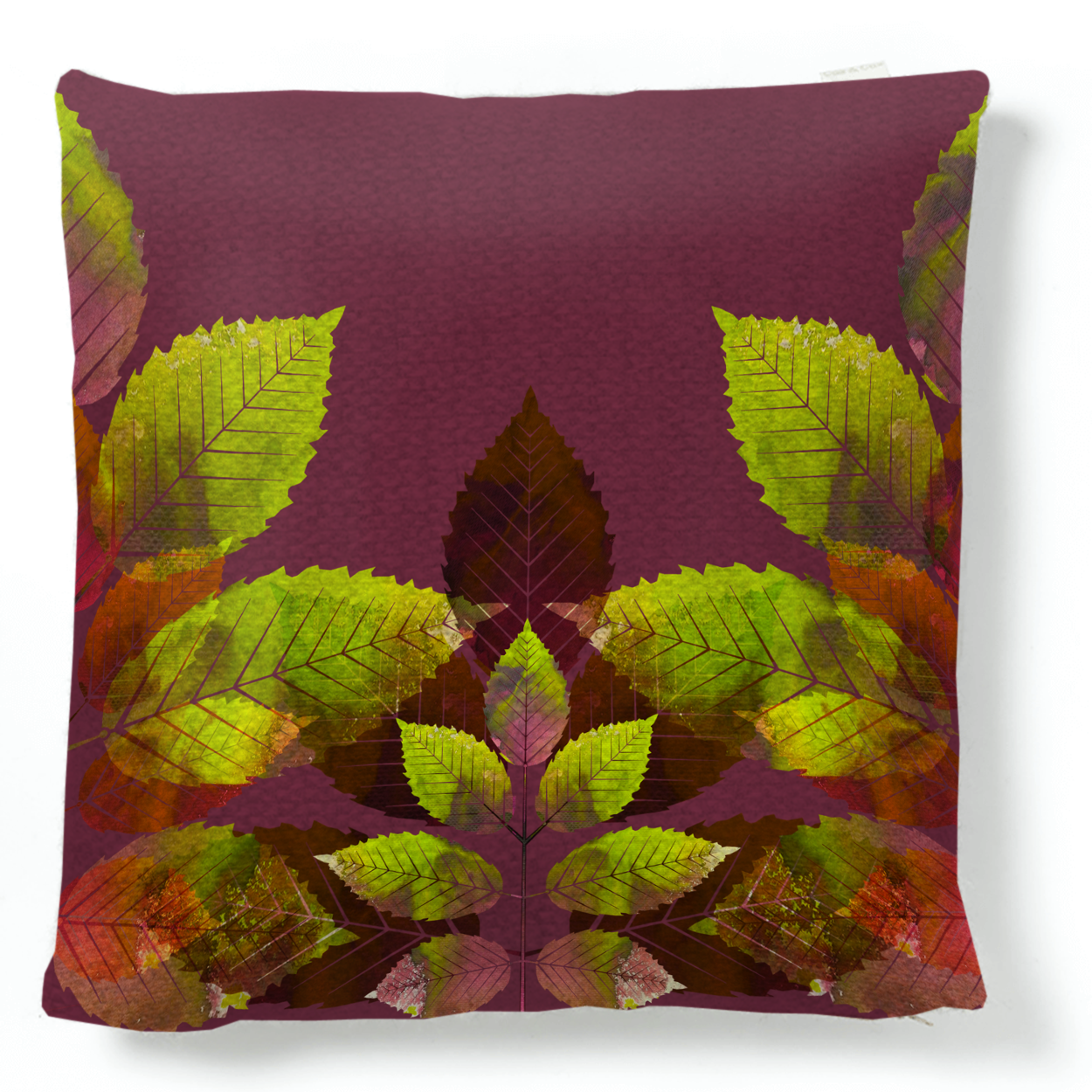 Ash Cushion.png