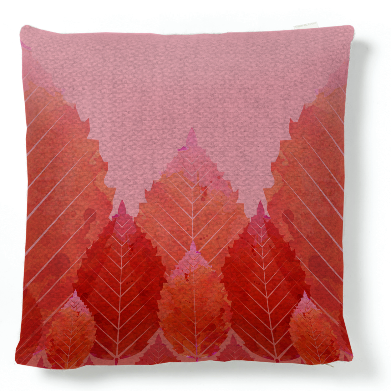 Beech Cushion.png