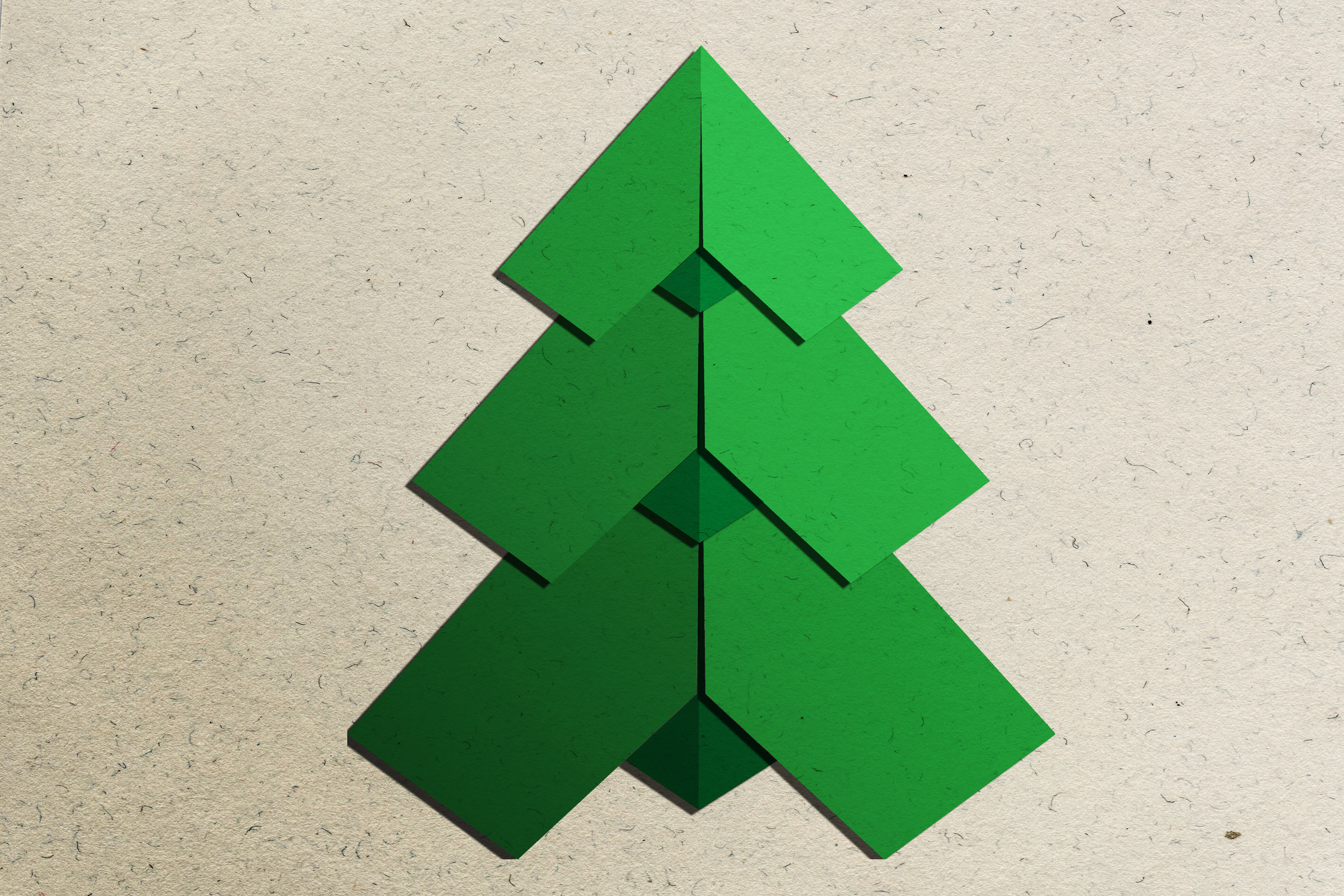 Pine on paper.jpg