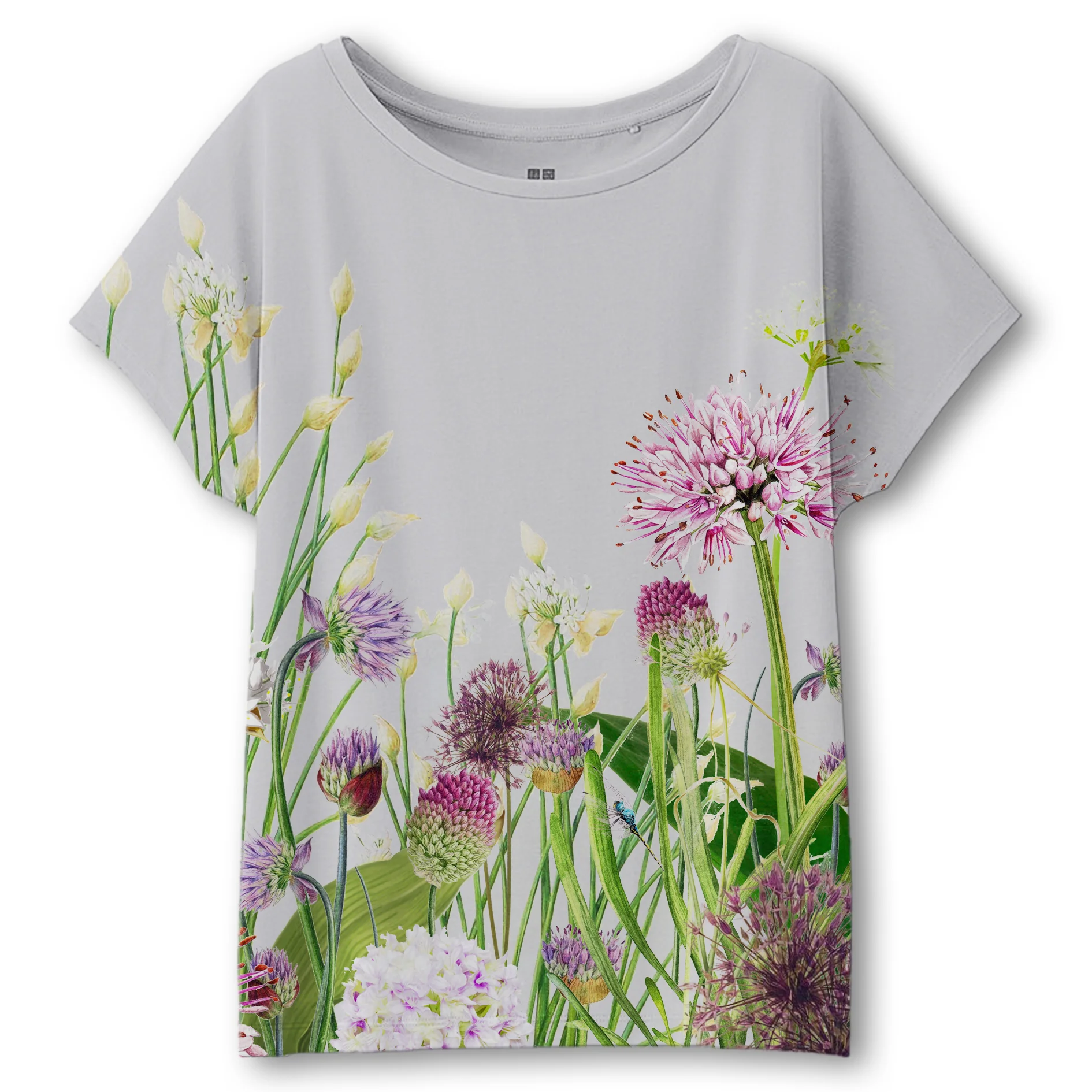 Allium Top.jpg