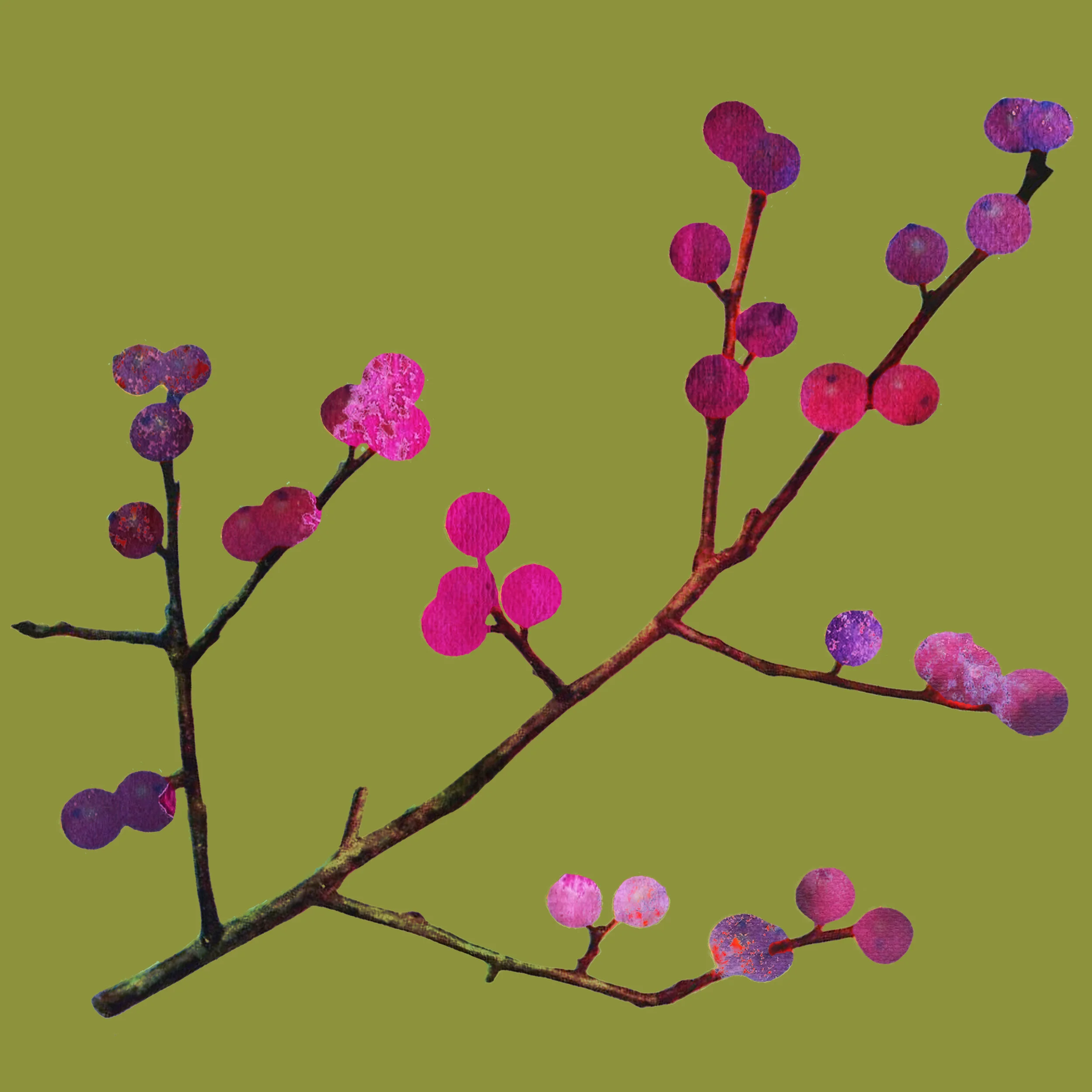 Berry Branch Print.jpg