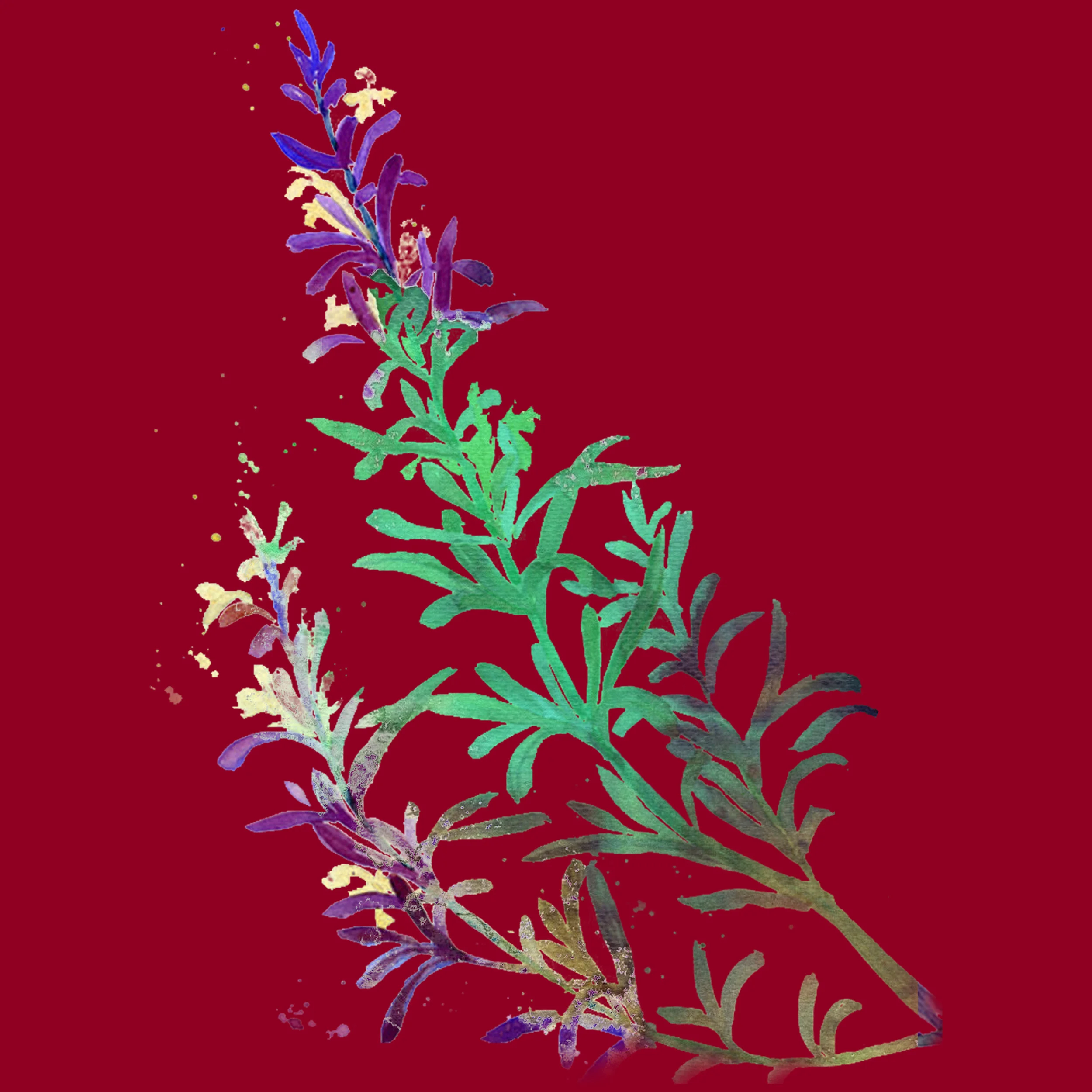 Rosemary Print.jpg