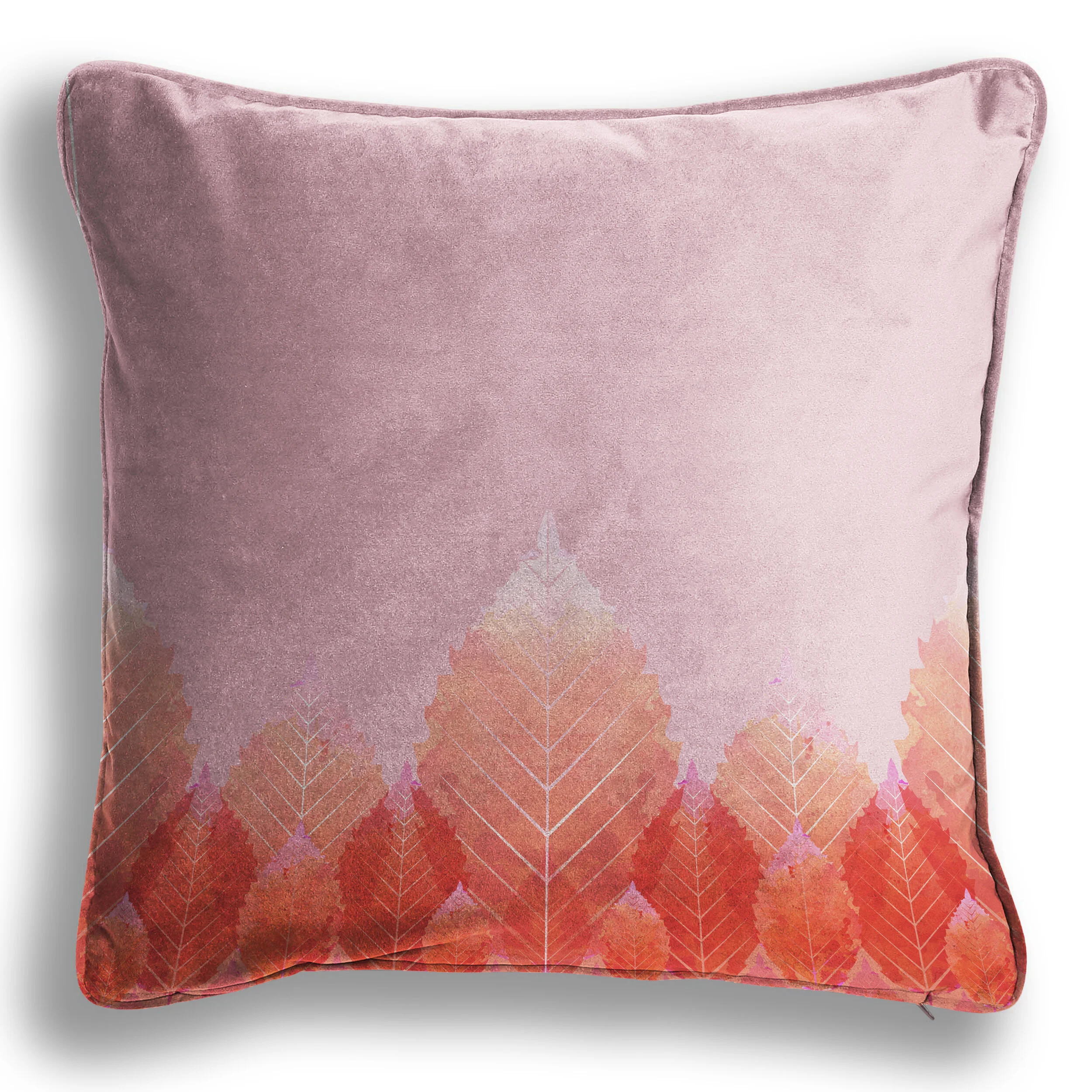 Blush Beech Cushion