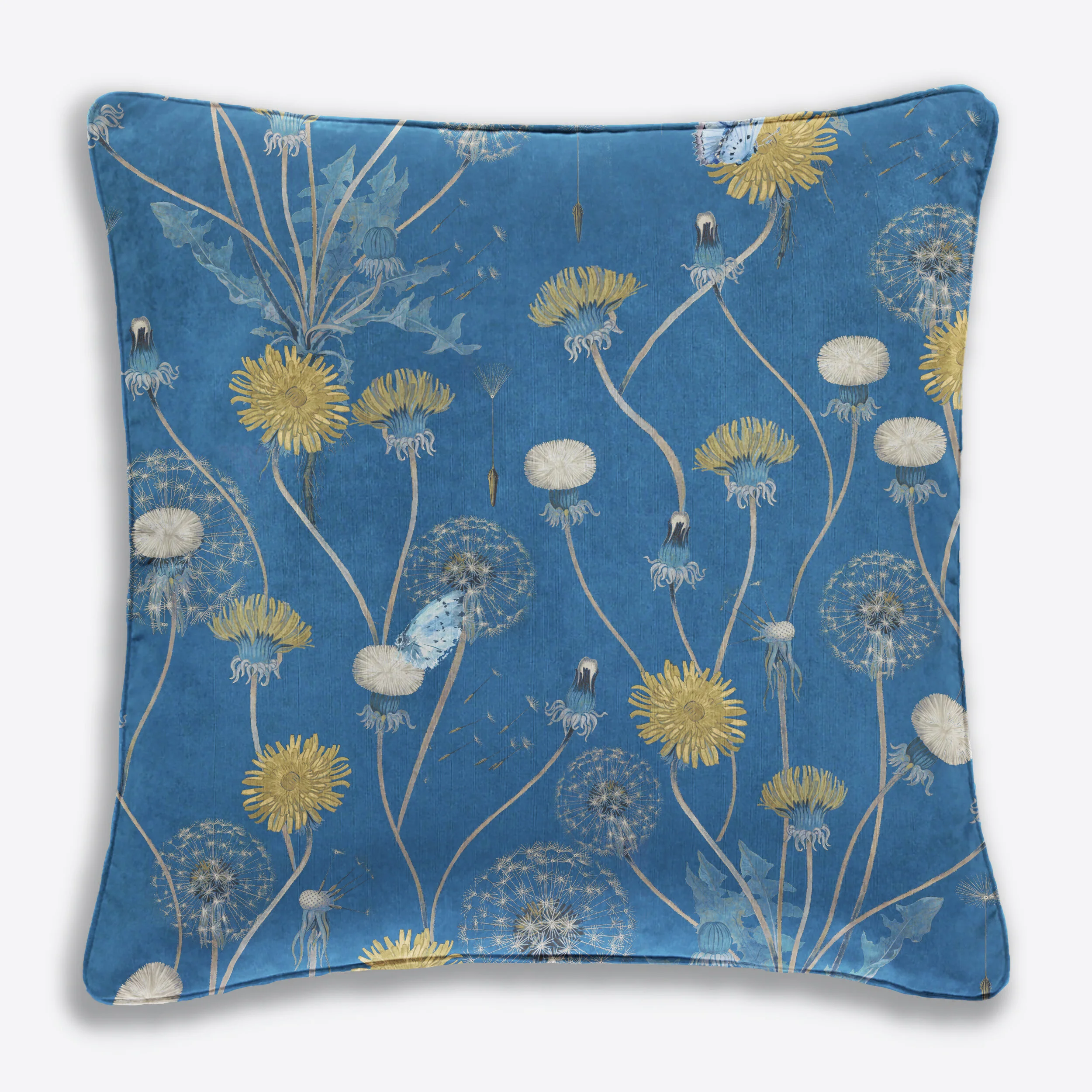 Taraxacum Cushions