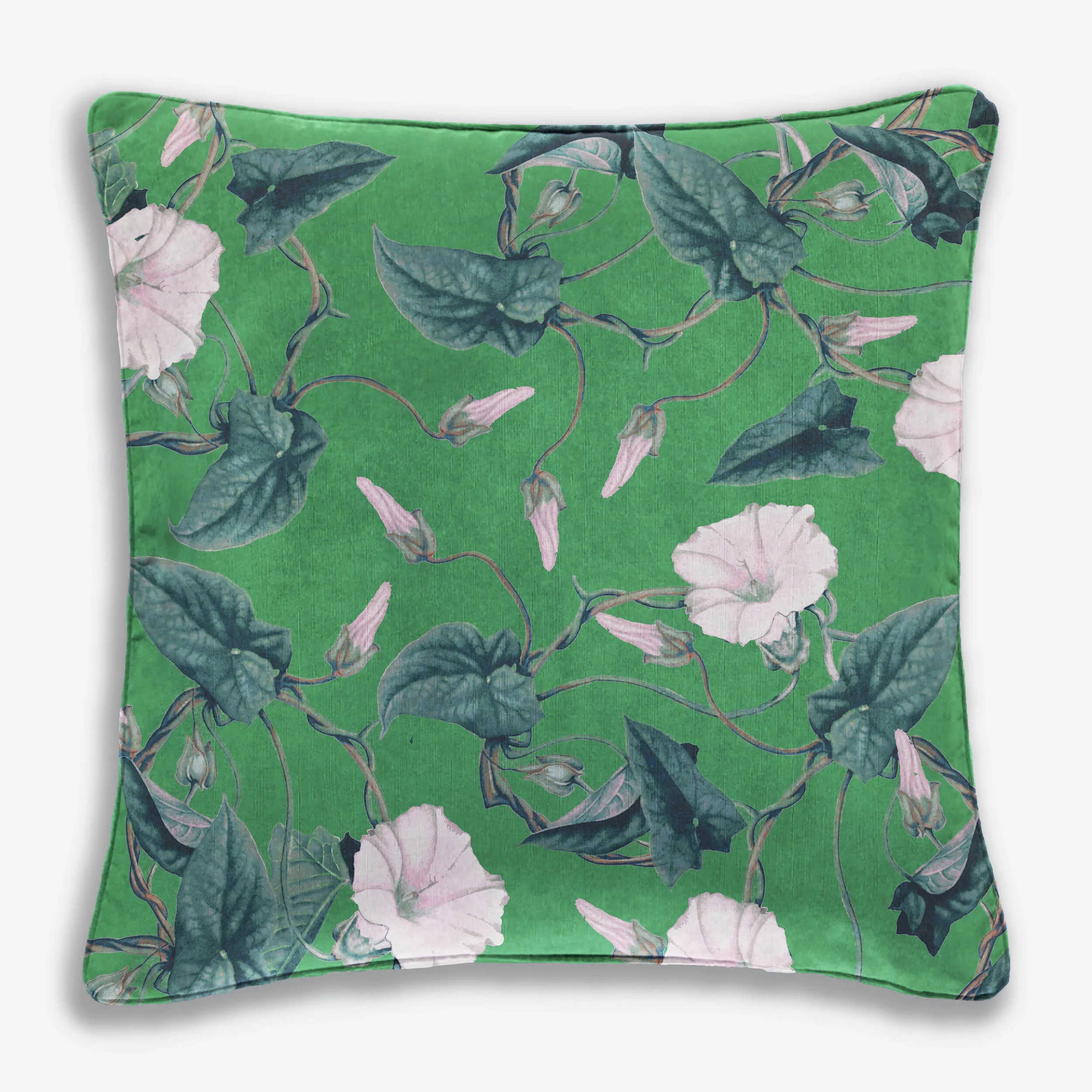 Calystegia Cushions