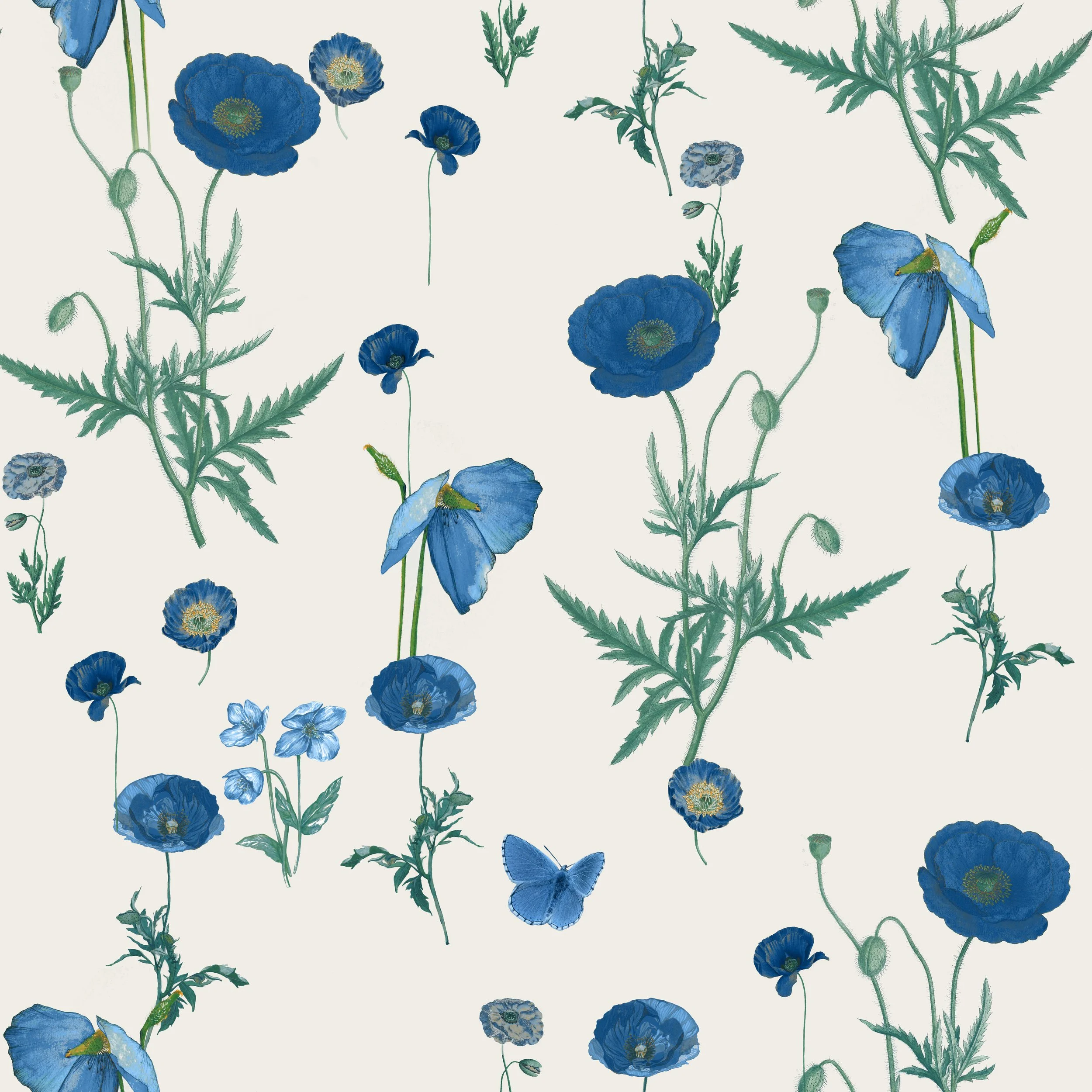 Blue Poppies.jpg