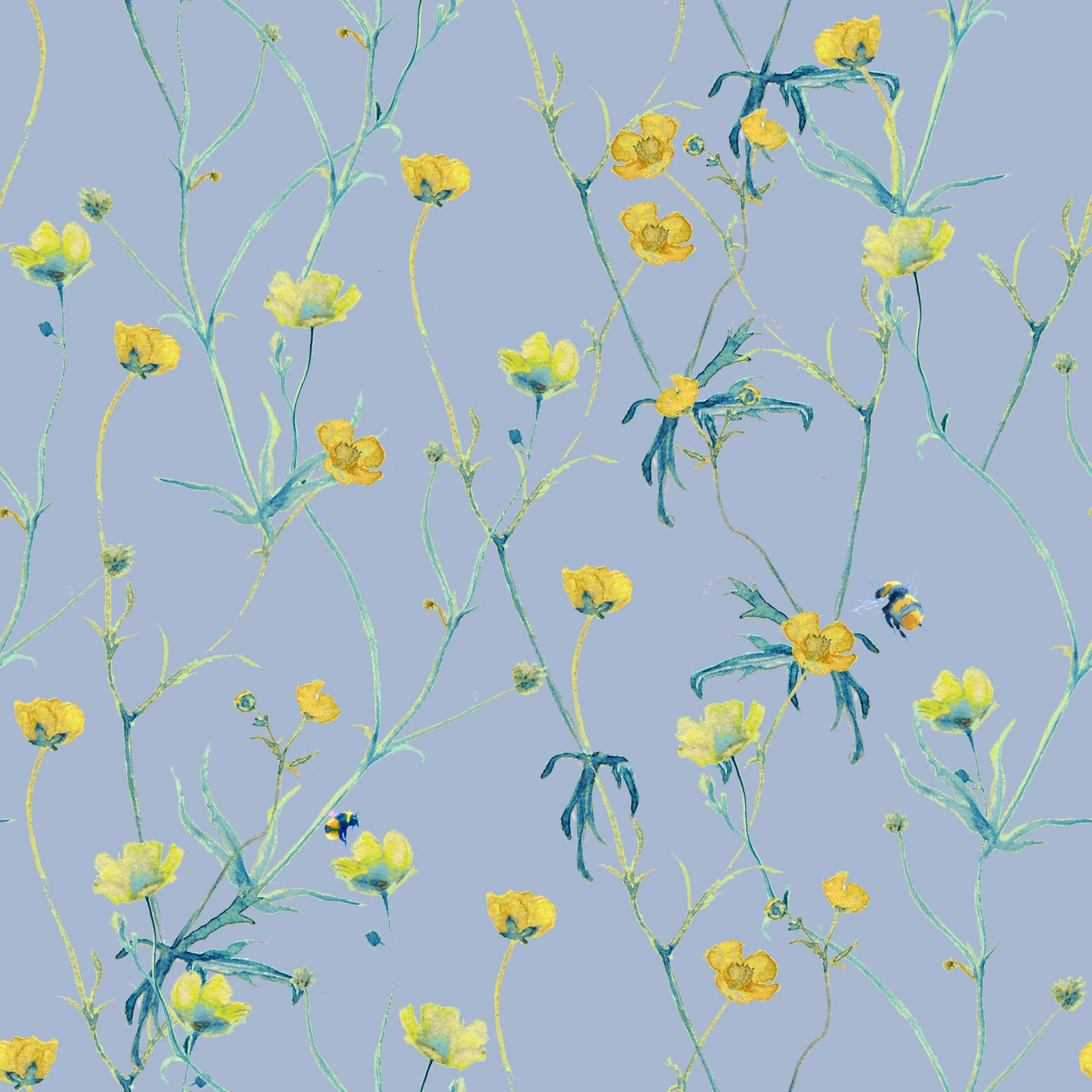 Ranunculus repens.jpg
