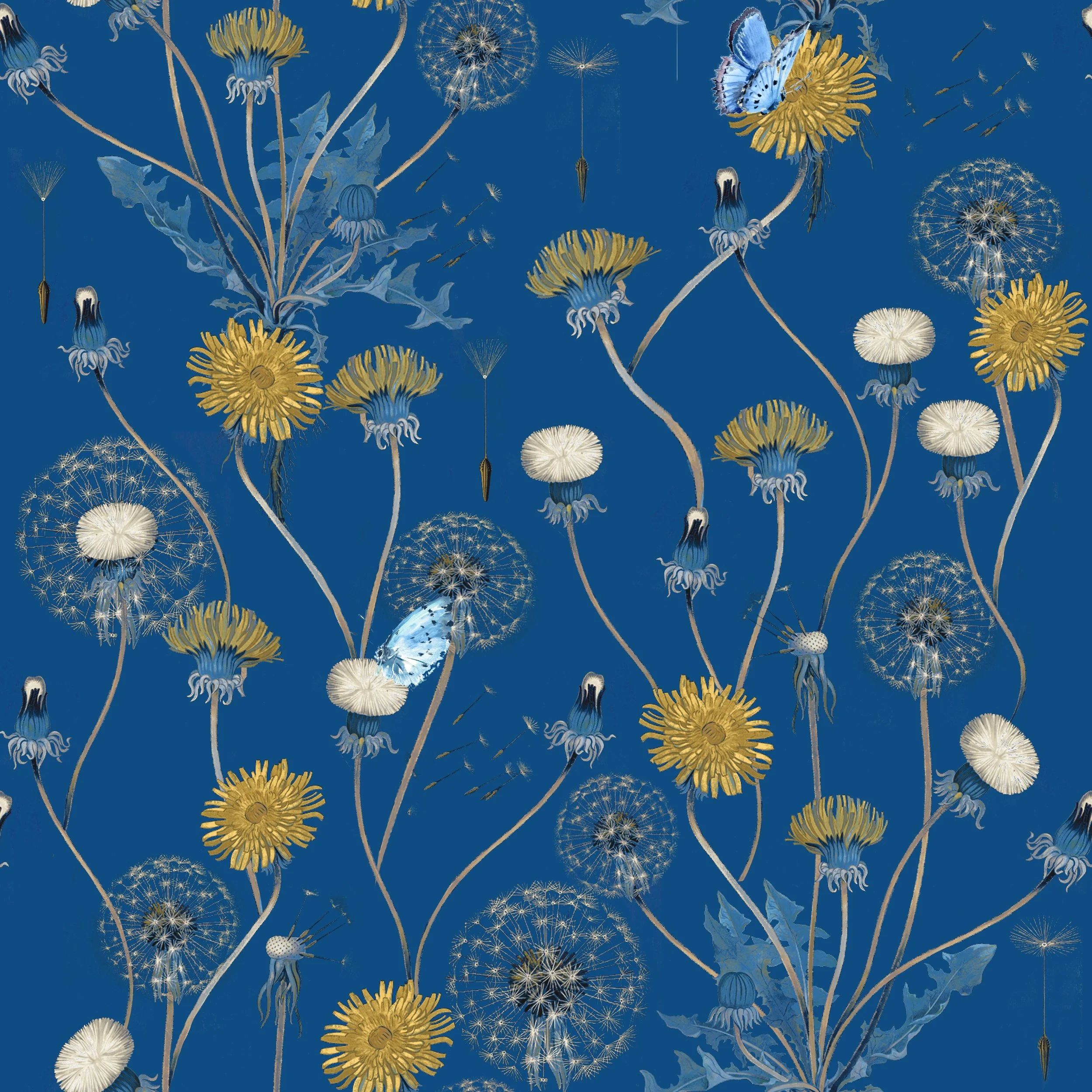 Taraxacum.jpg