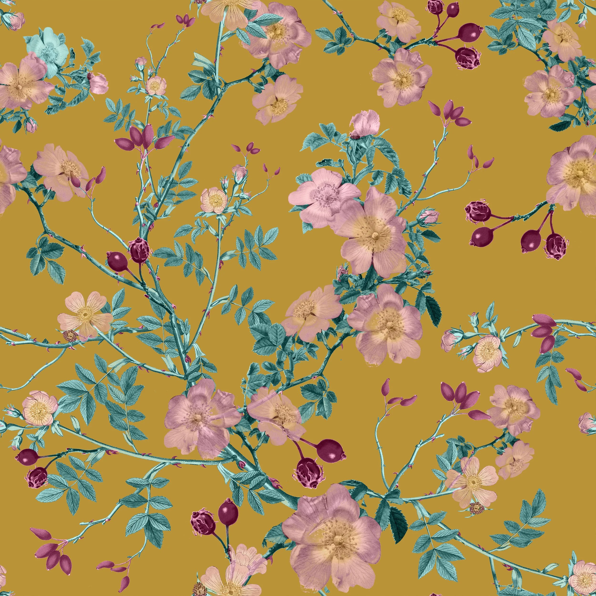 Wild Rose Print3.jpg