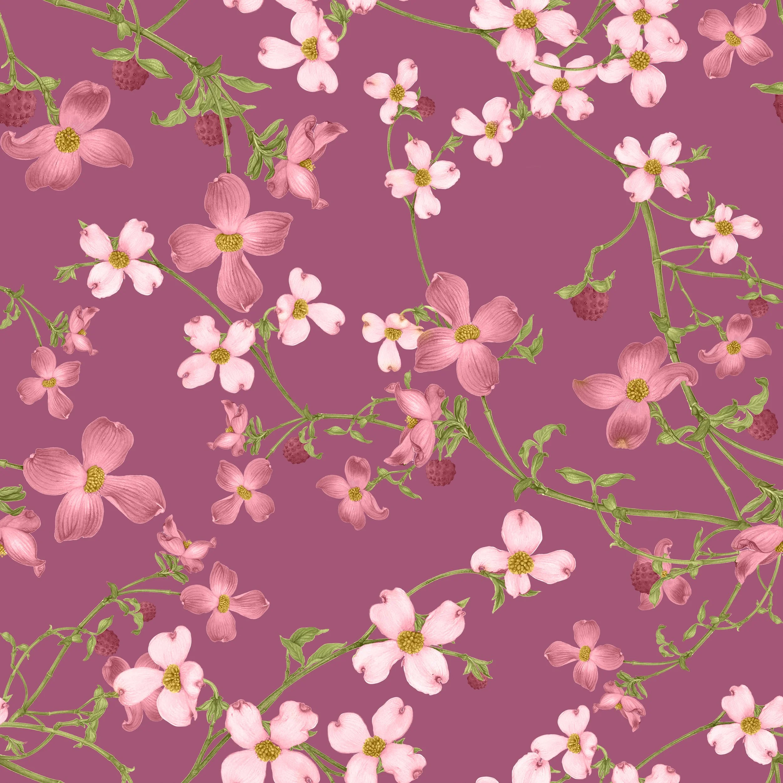 DogWood Print2.jpg