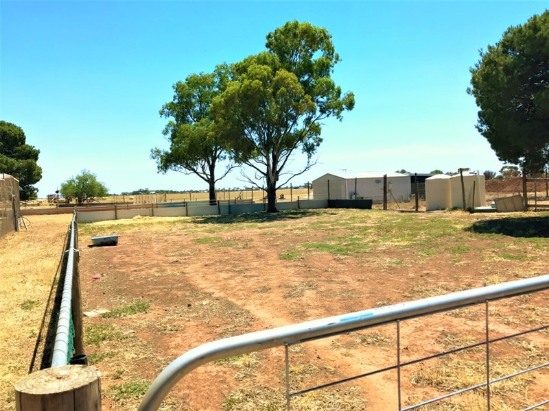Farmland nearby where Peter Stogneff's body was discovered