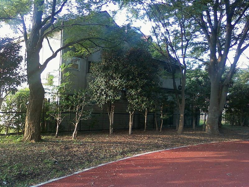 The Miyazawa home, from the angle of the park located behind it