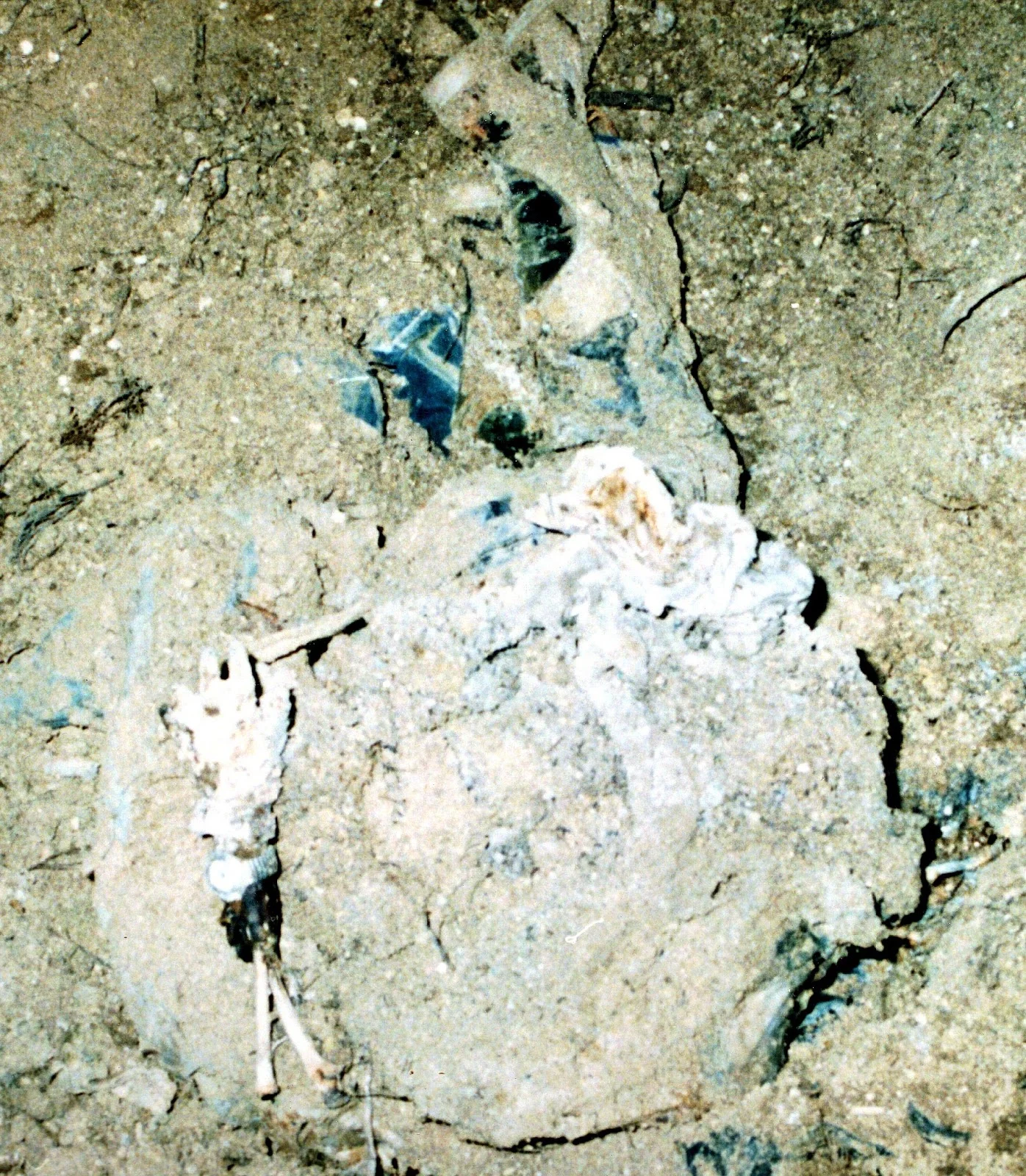 The photo taken of the bodies as they were discovered