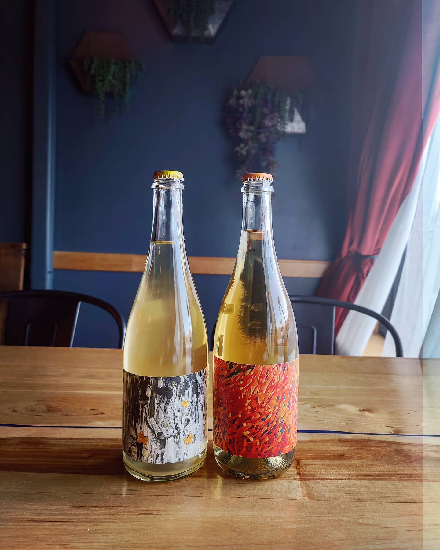 It's always the right season to drink pet-nats, but sometimes they're a bit tough to come by. We've got a whole bunch here and more coming in. These two beautiful newcomers are books worth judging by the cover, courtesy of @goncwinery and @bosmanwine