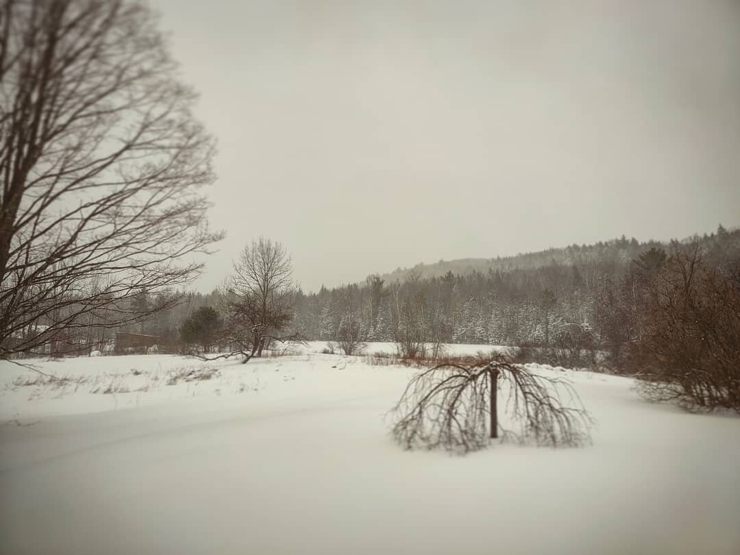 Snow day: we're finally gonna look a little more like the winter Maine wonderland we aught to be this time of year. While this storm isn't the beast they predicted, it looks as if it's gonna dump this afternoon so we're gonna stick with the plan for 