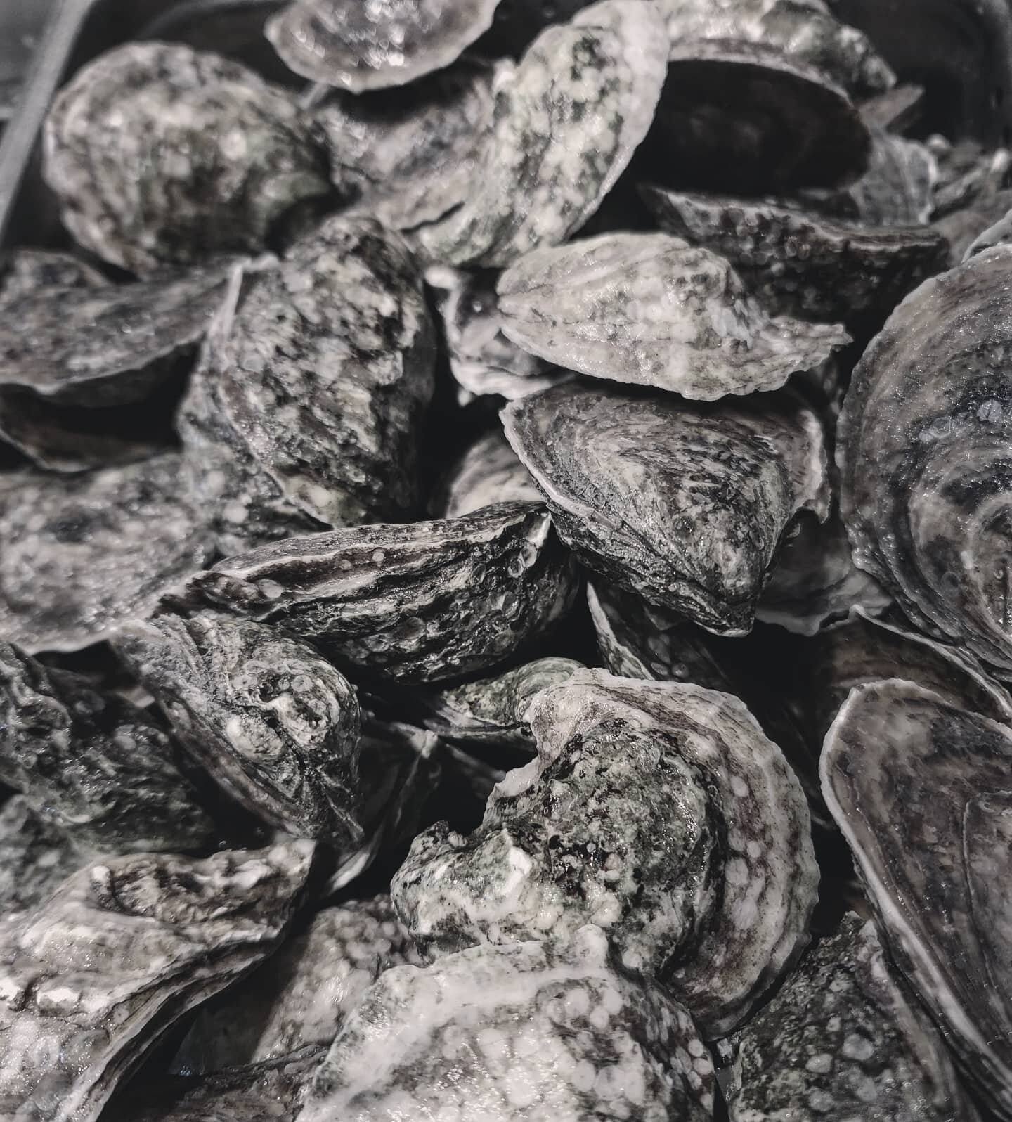 We're rocking oysters five days a week. This batch is John's River via @harborfishmarket Cheers!
.
.
.
.
.
.
.
.
.

#eatlocal #farmtotable #eatmaine #travelmaine #maine #mainedining #watervillemaine #fairfieldmaine #foodie #foodpics #seatotable #oyst