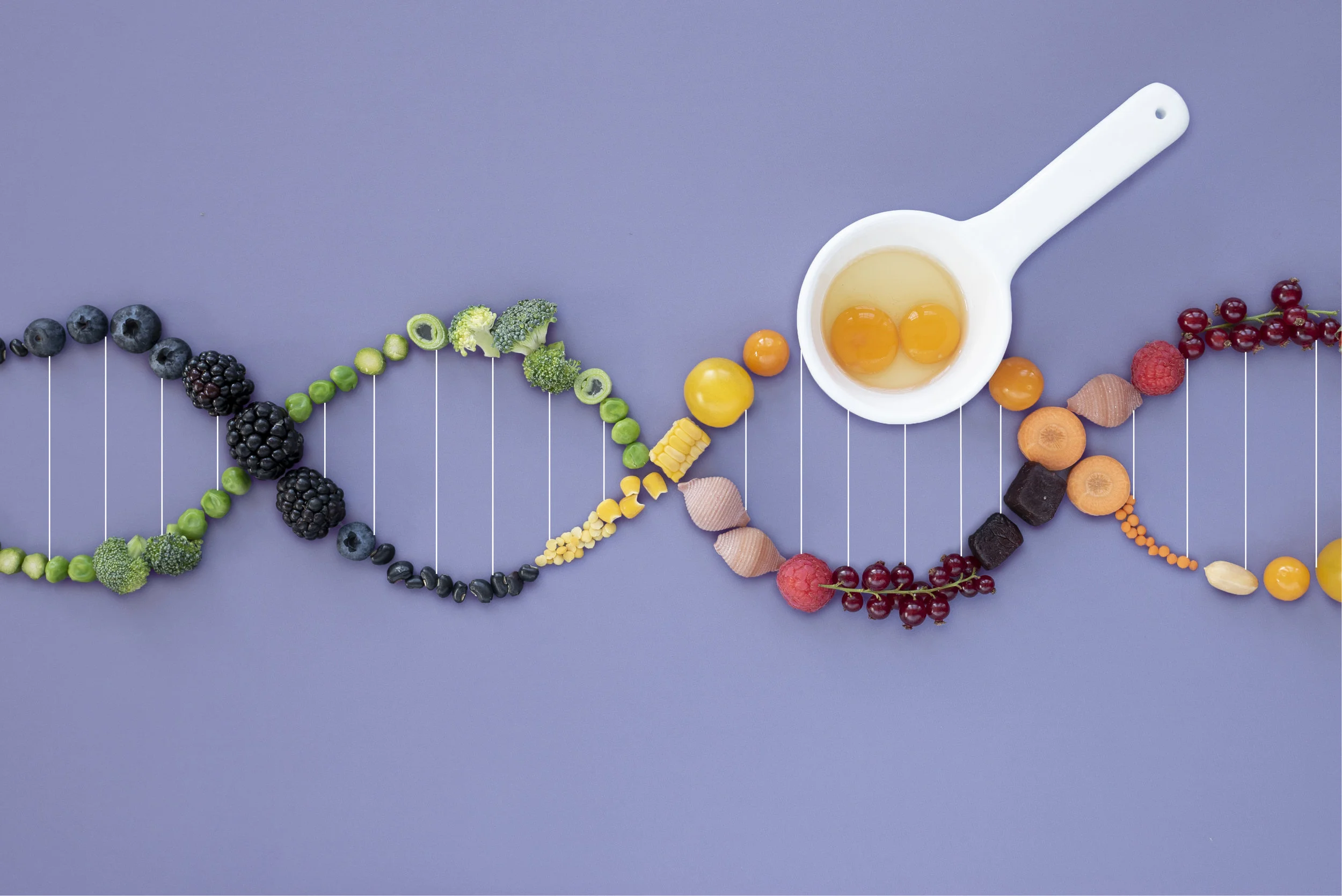 1_DNA-01.jpg