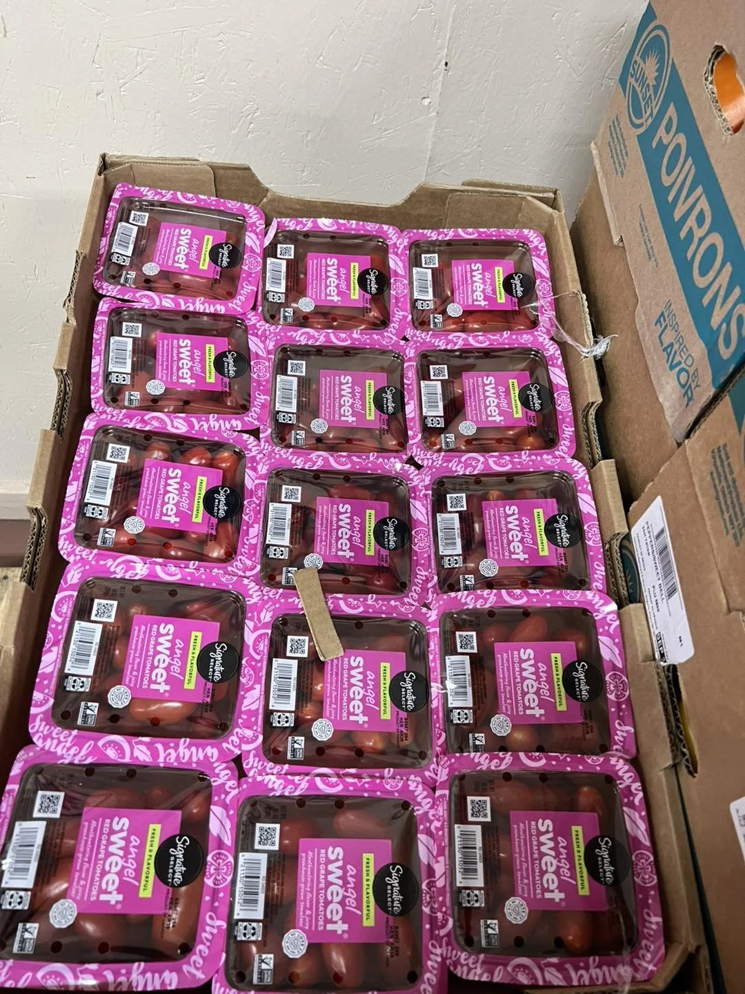 464954029_122176469960106040_2032823272821956131_n.jpg