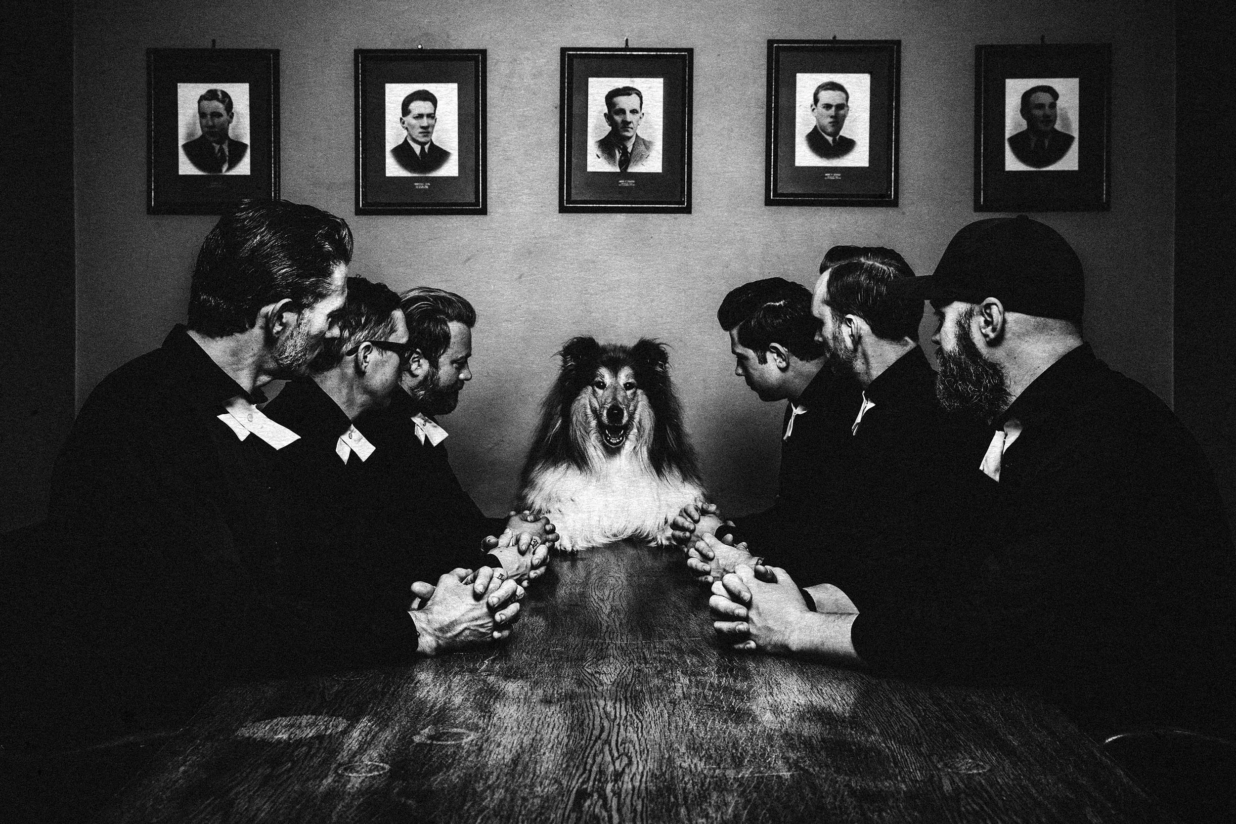 The Dogs press image 2018.