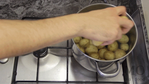 fiuchaigh-na-pratai.gif