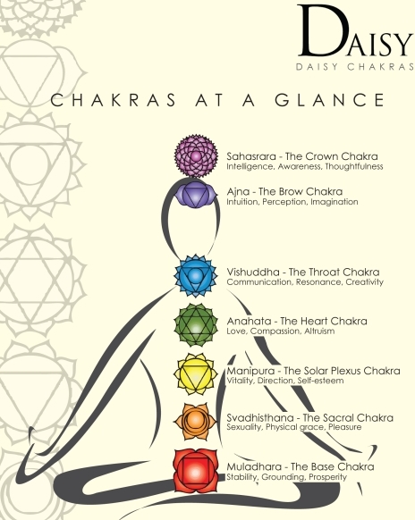 Daisy chakra diagram illustration.jpg