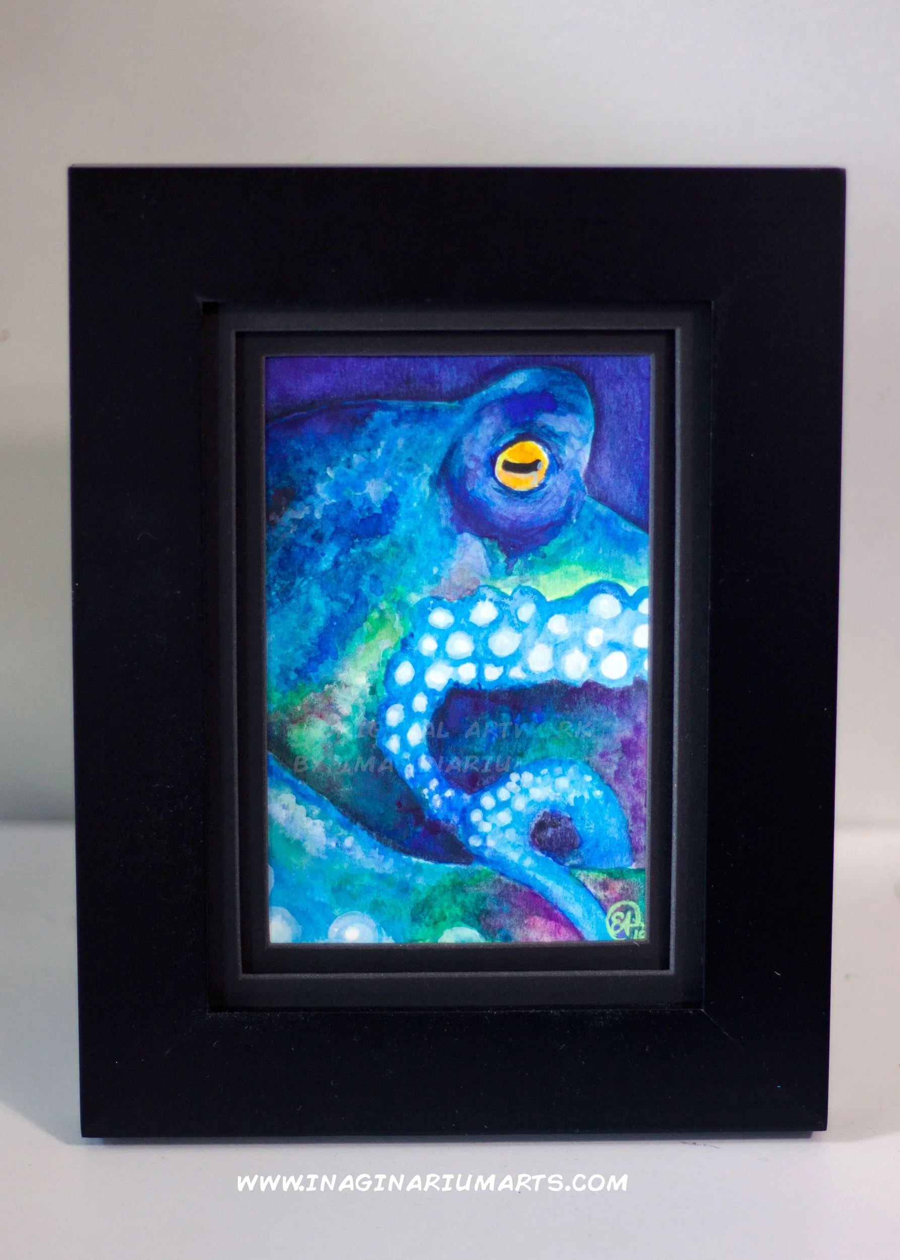 Octopus_FRAMED_WEB.jpg