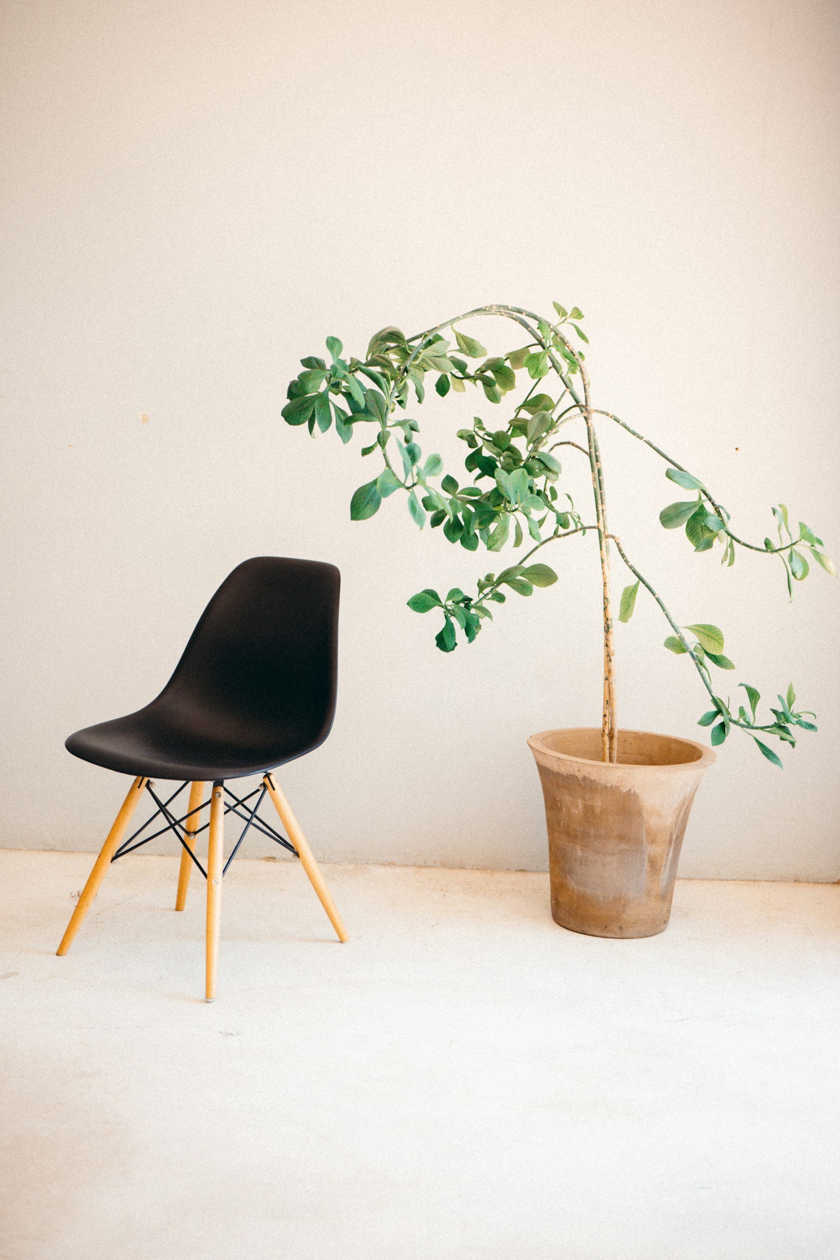 unsplash-image-1JCtu1VZQcw.jpg