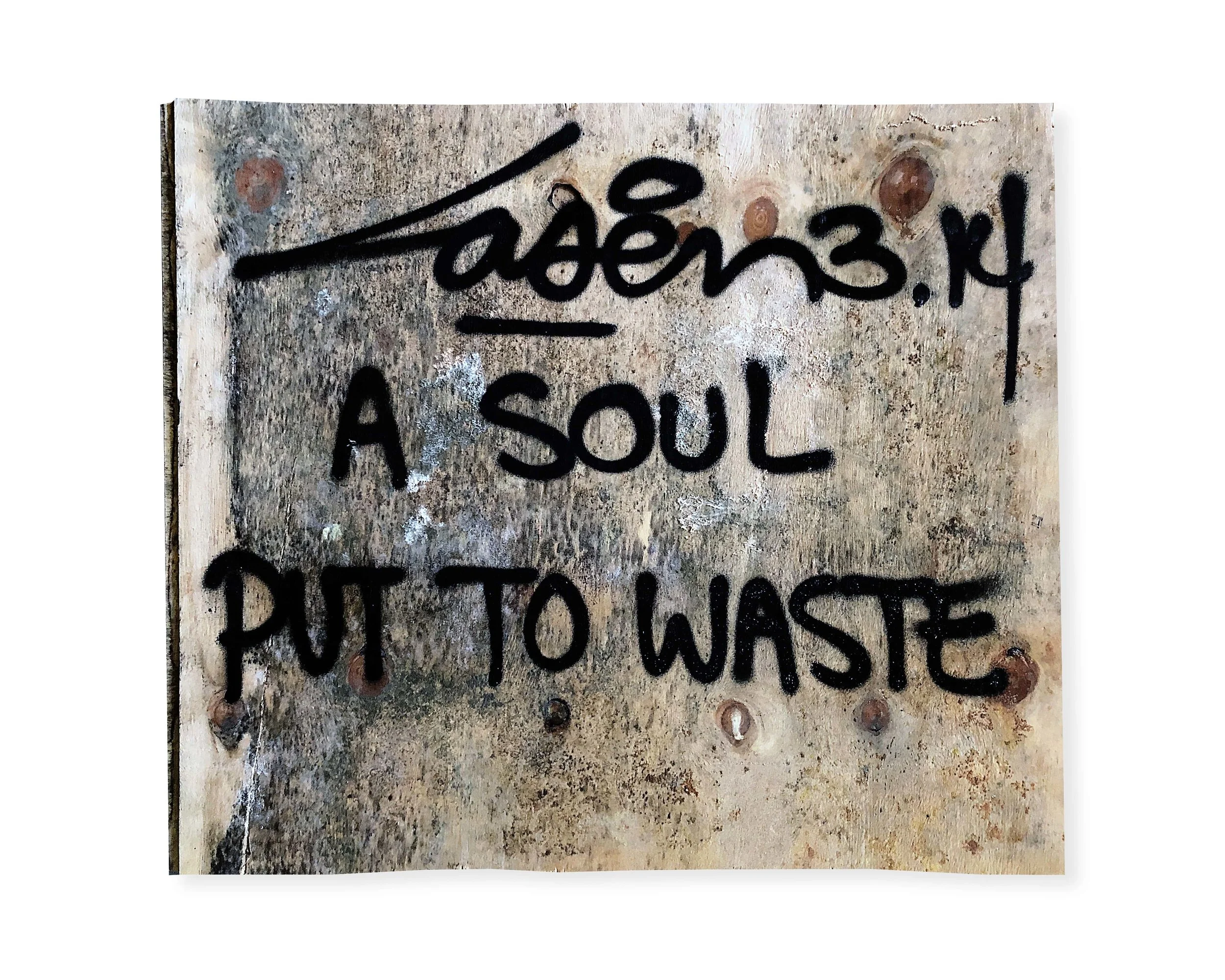Laser314_ASoulPutToWaste_50x60_2019-min.jpg