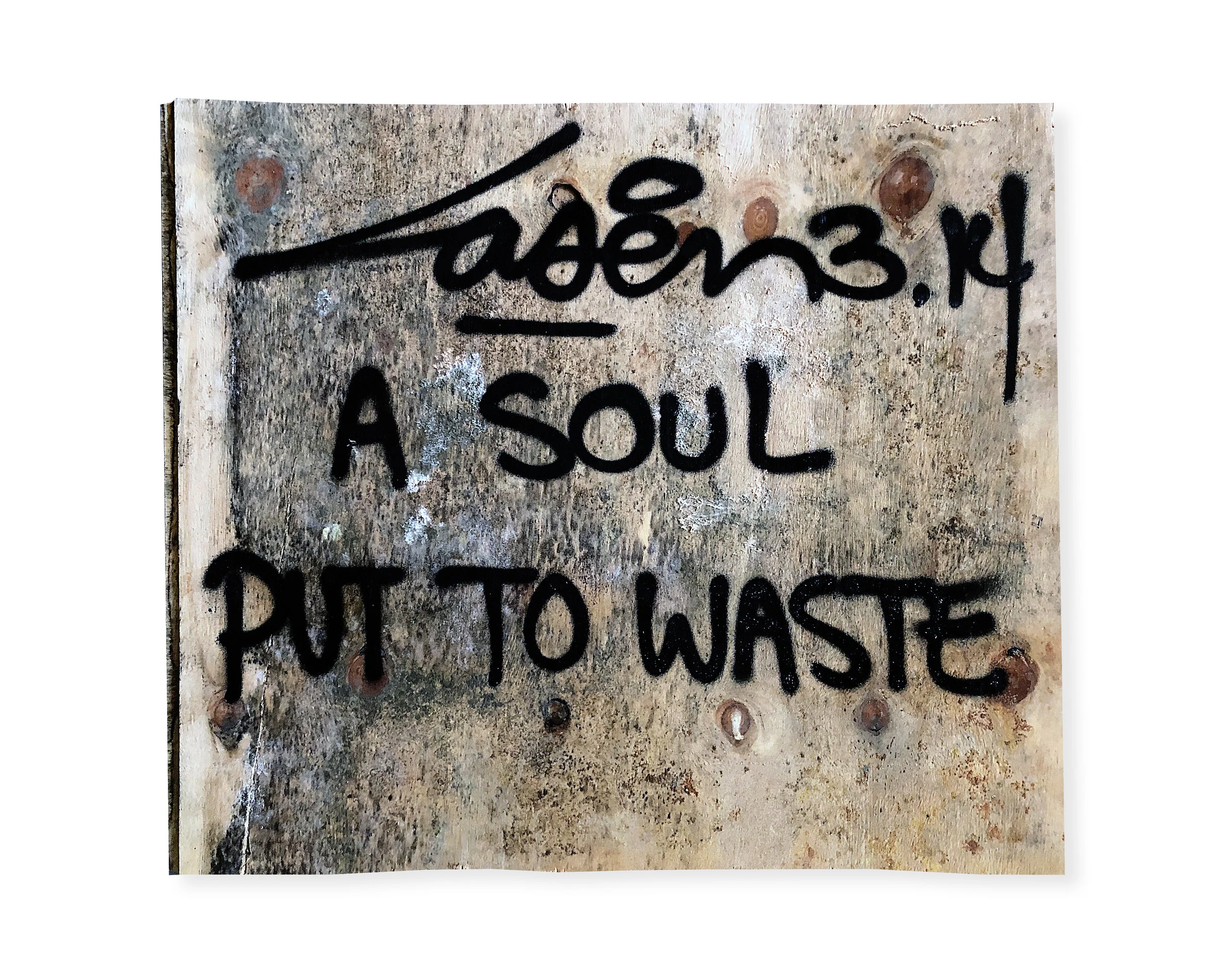 Laser314_ASoulPutToWaste_50x60_2019.jpg