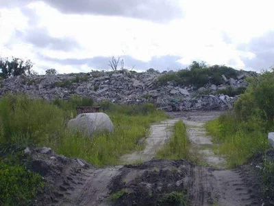 Various 4.jpg