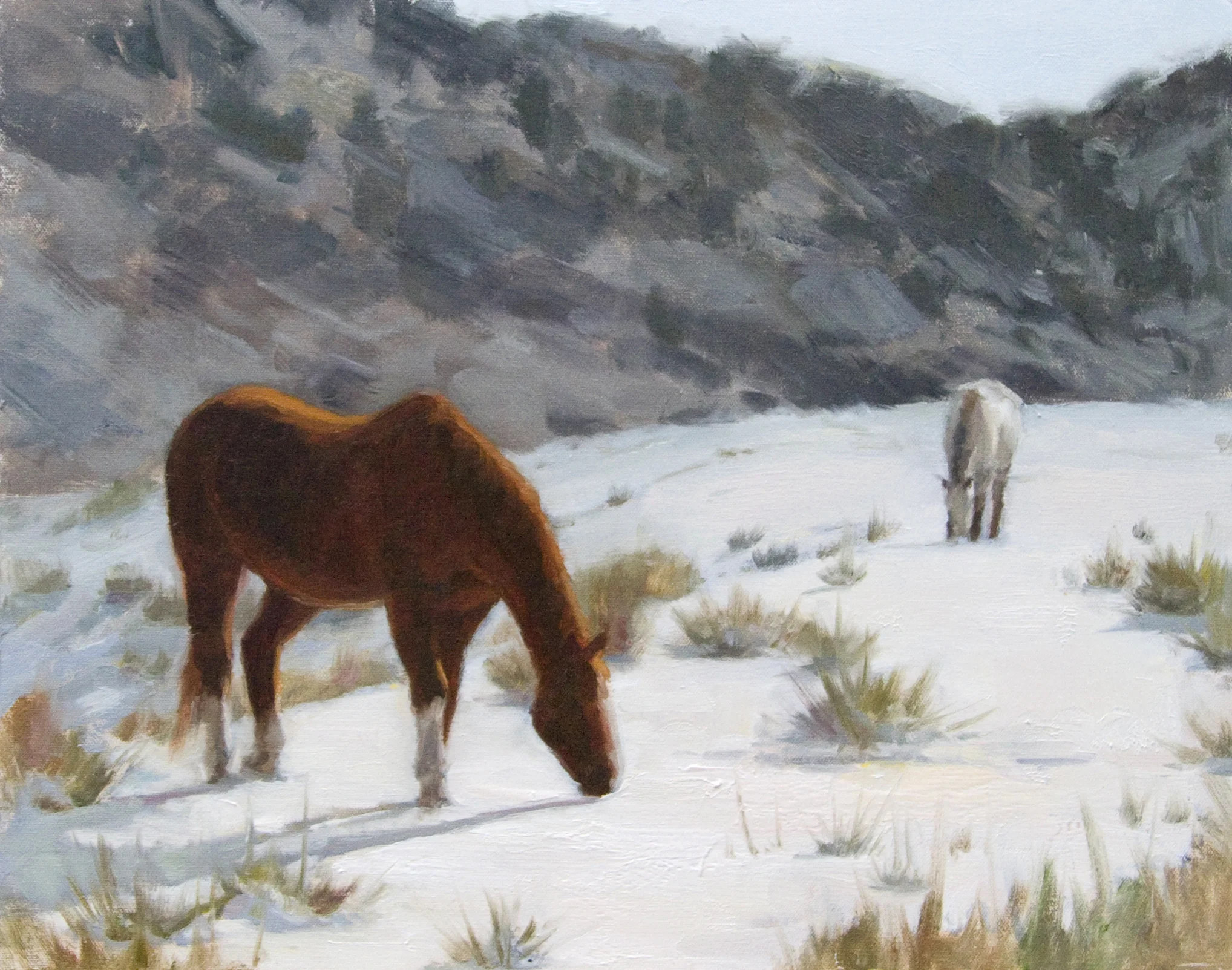 Grazing in the Snow