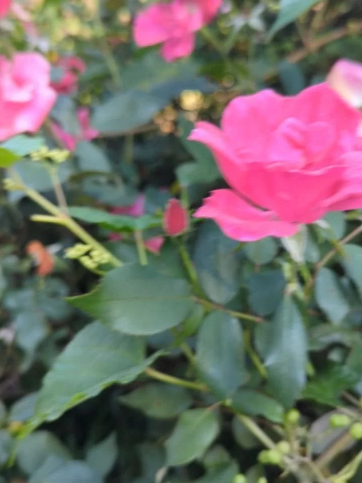 Much needed daily dose of sanity.