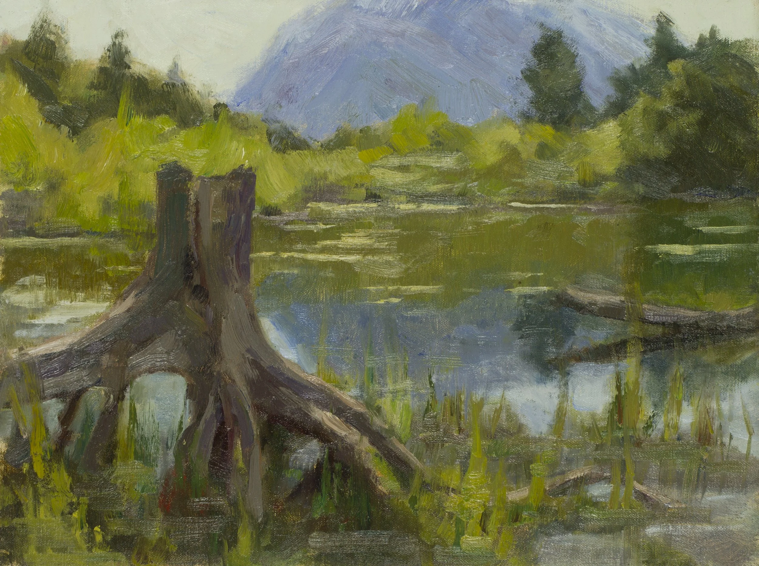 Vermilion Lakes