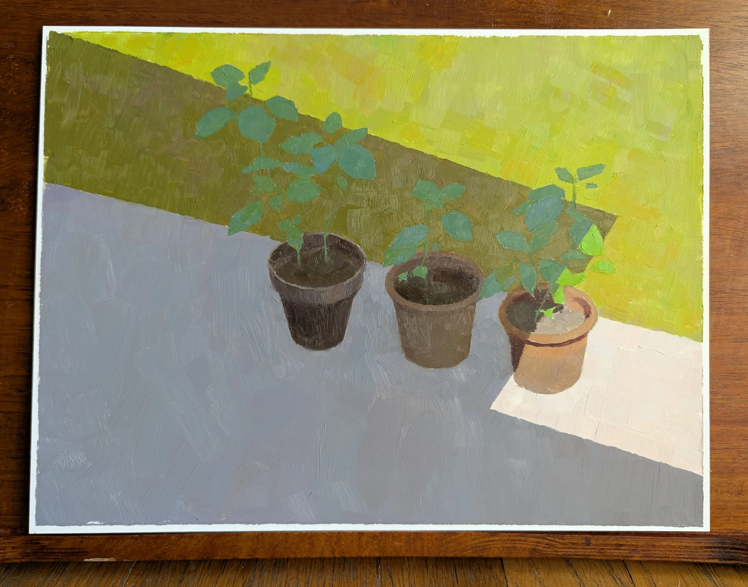 single_hydrangeacuttings.jpg