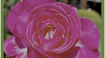 Screenshot 2026-04-30 095403.png