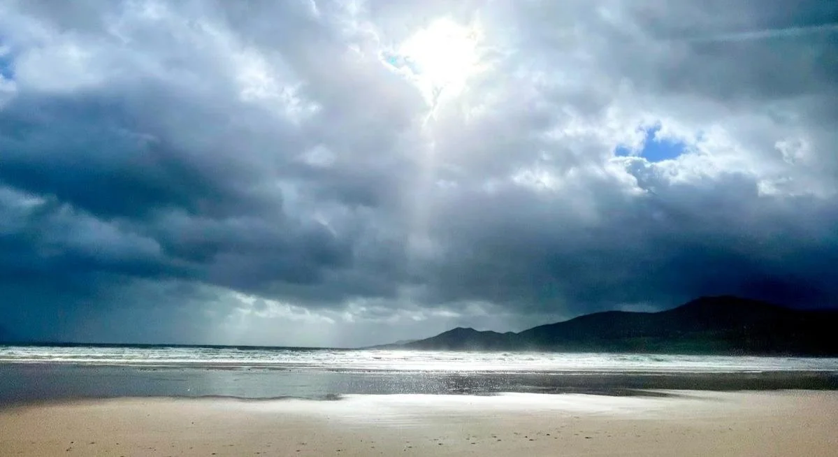 bcd5d01f-8f0a-4c75-9f20-3afa15172f2f (1).jpg