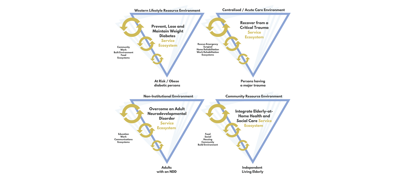 Copy of EXAMPLE HEALTH SERVICE ECOSYSTEMS.png